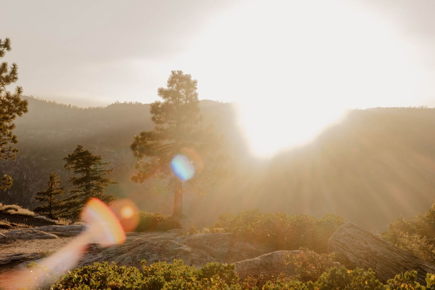 colorful light streaks across image of pine trees on mountaintop