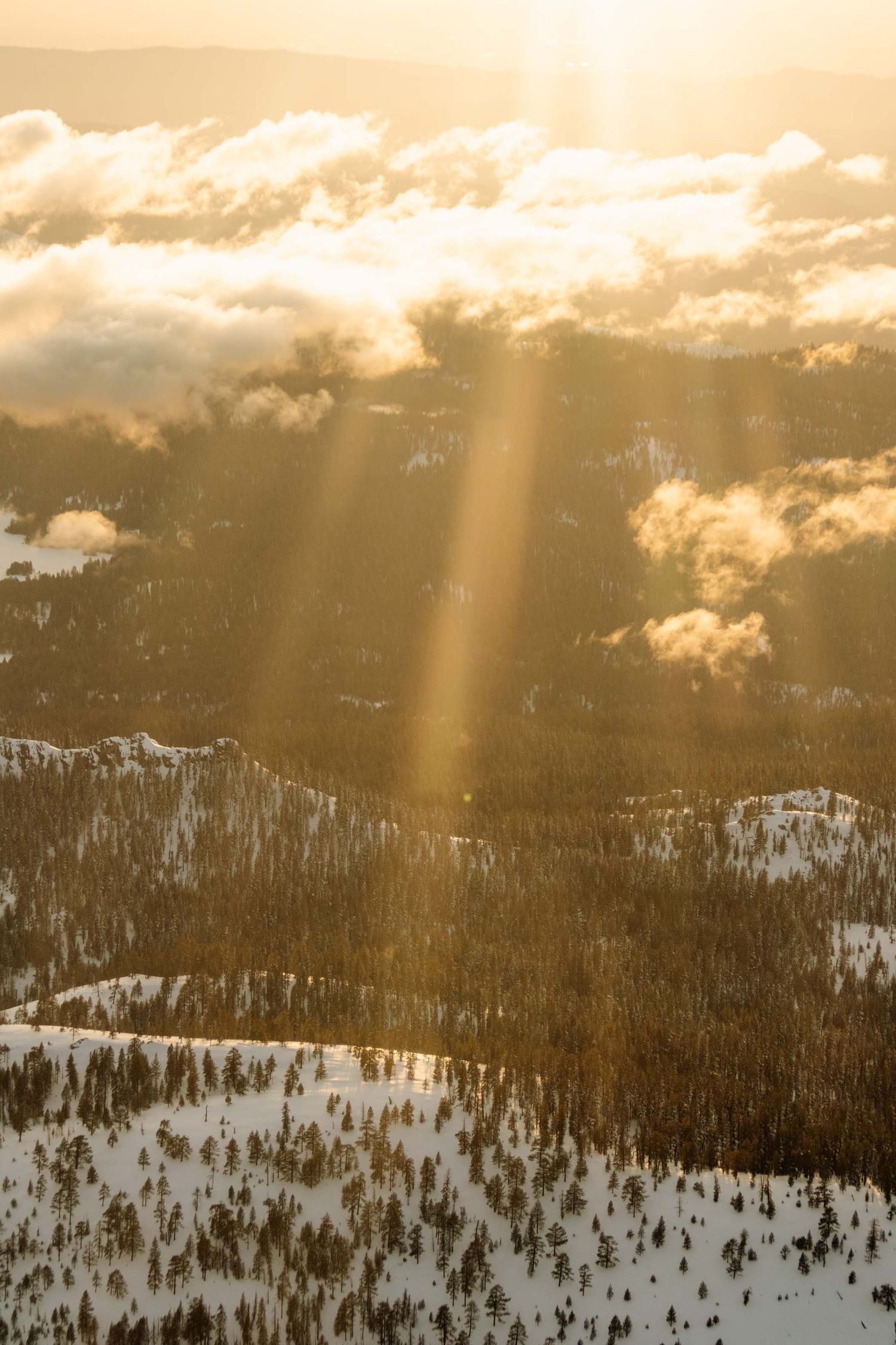 light rays come out of cloud over a snowy valley covered in pine trees