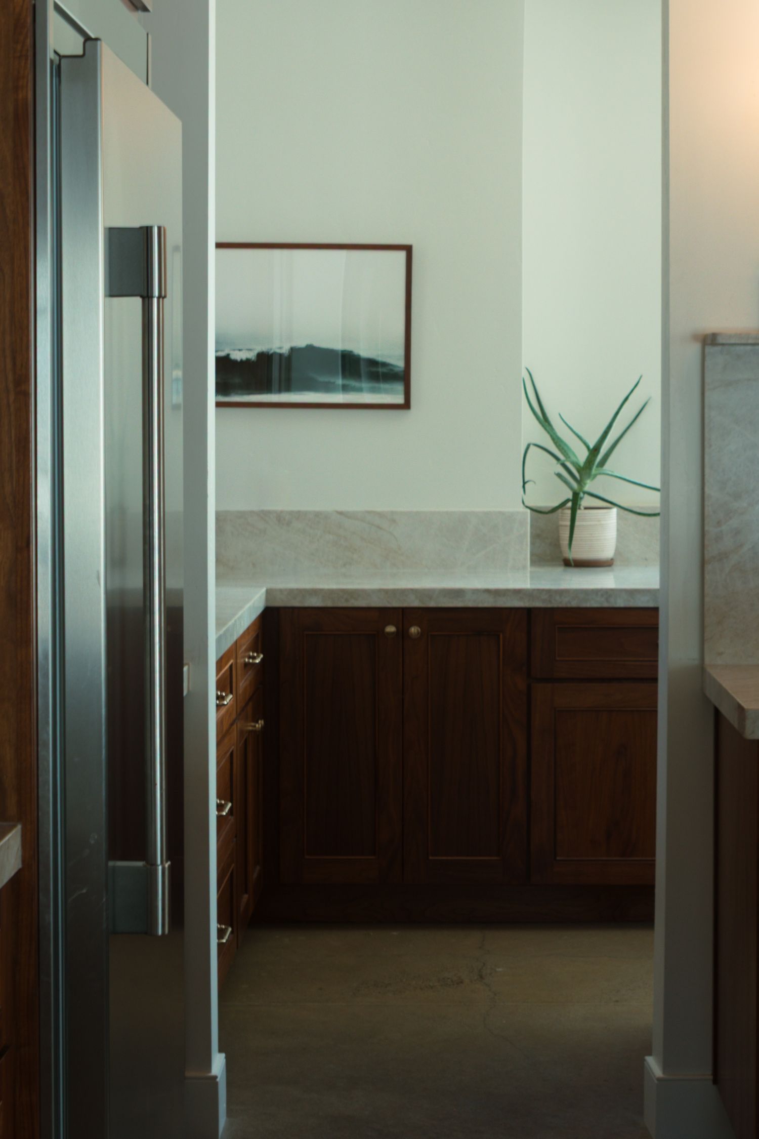 view through kitchen to countertop with aloe vera plant and a painting hanging on wall above it