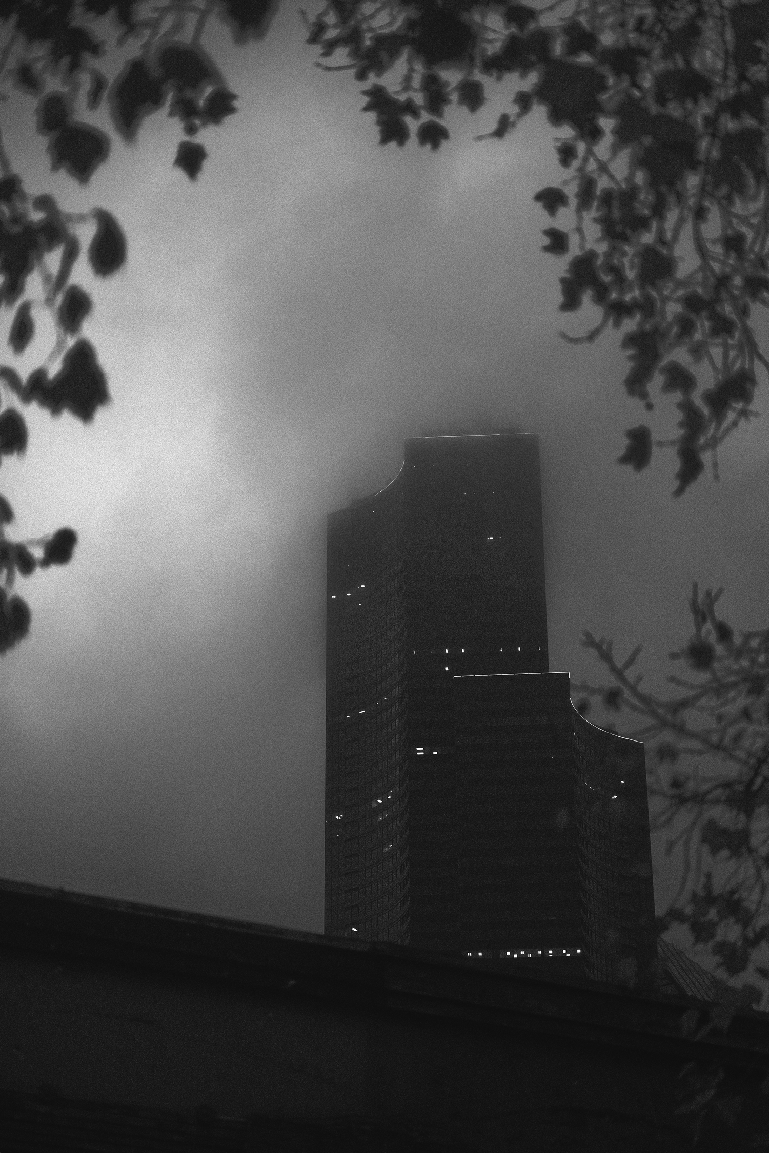 Moody black and white shot of a skyscraper disappearing into fog with tree branches framing the top.