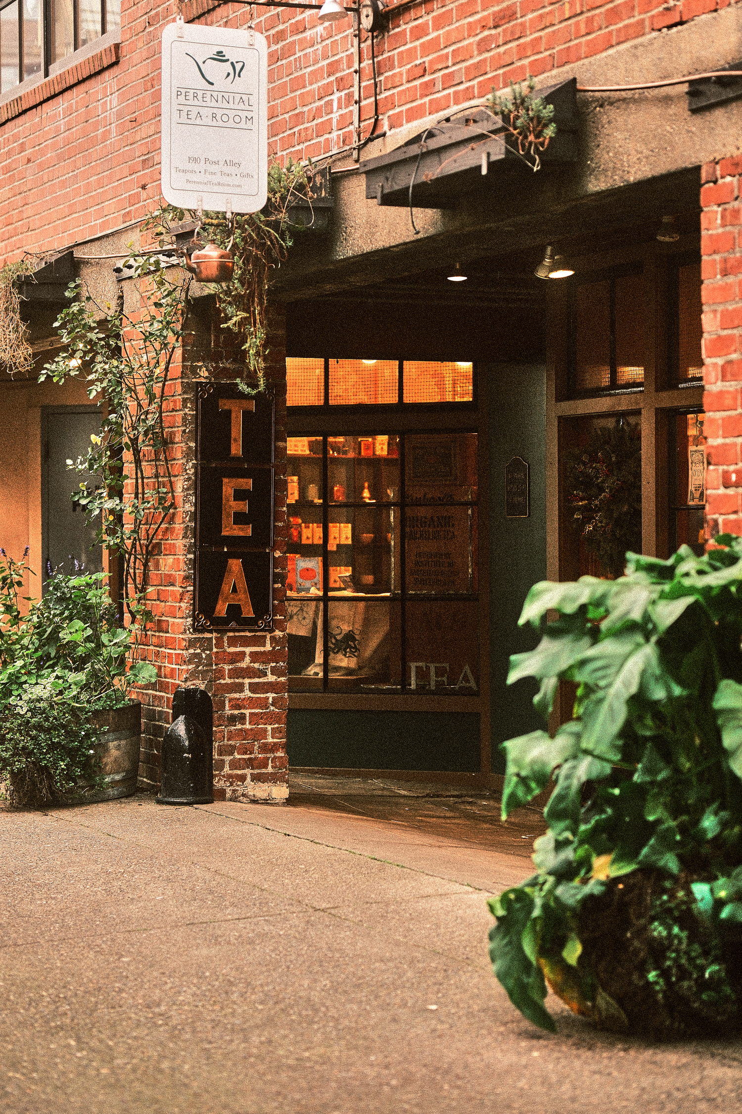 Charming brick storefront of a tea shop with climbing vines and vintage signage.