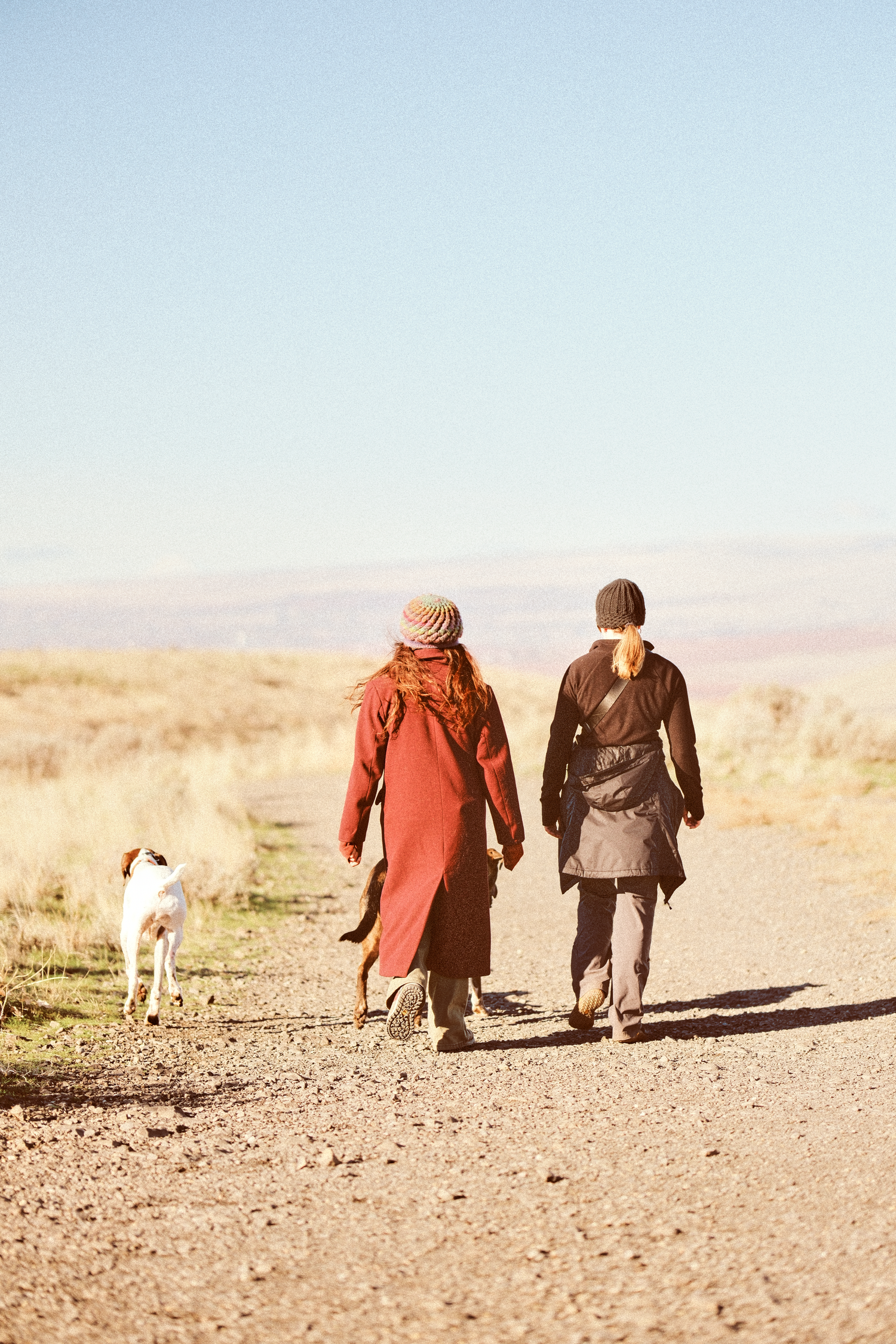 Two people walk with their dog on a desert path during golden hour.