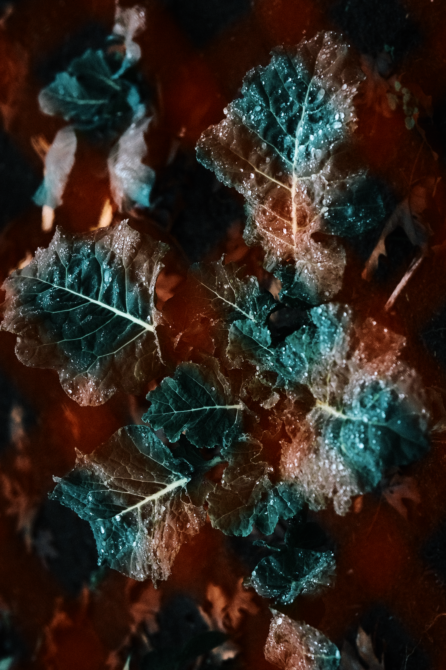 Abstract microscopic pattern in turquoise and orange showing crystalline mineral formations.