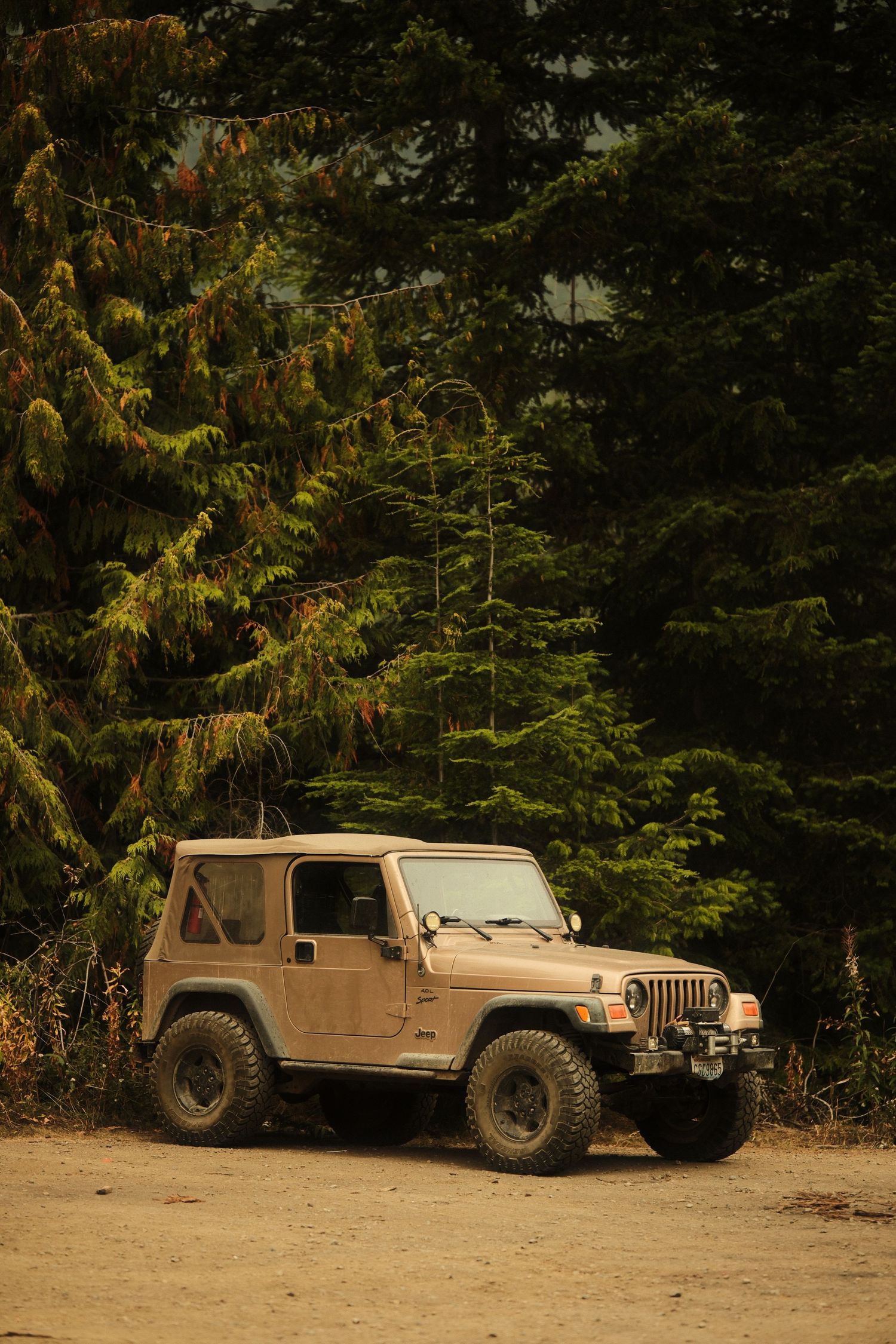 Two tan Jeep Wranglers parked against evergreen forest backdrop.