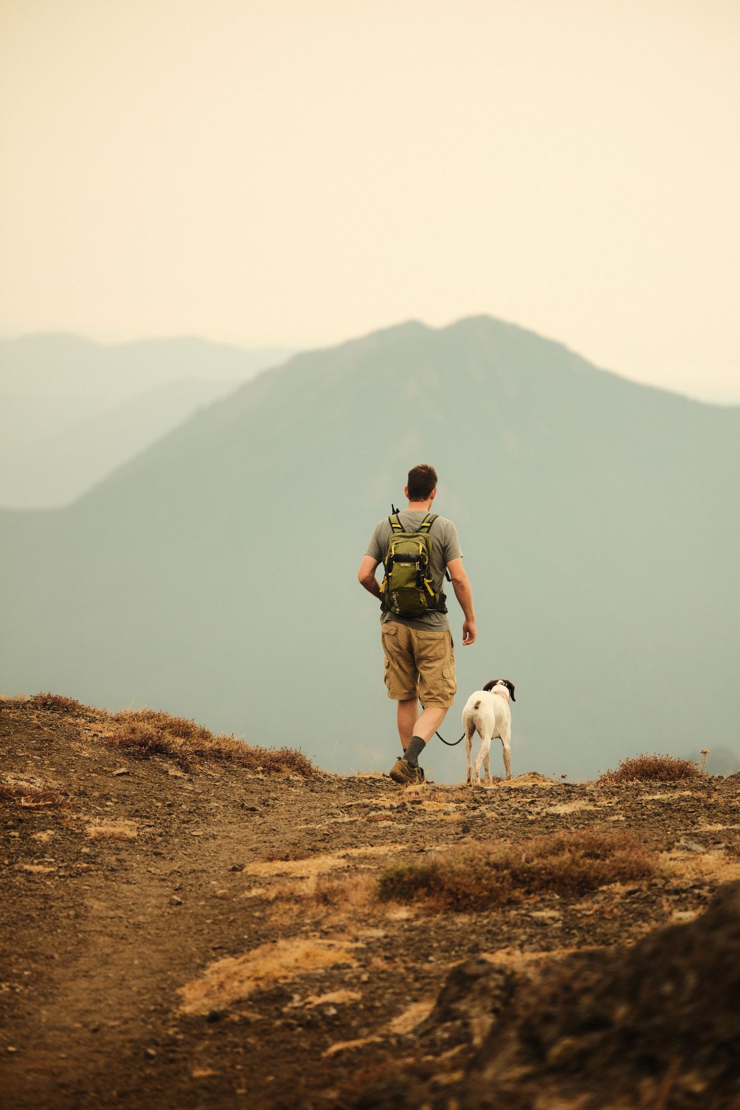 A hiker and their dog walk along a mountain trail at sunset with misty peaks in the background.