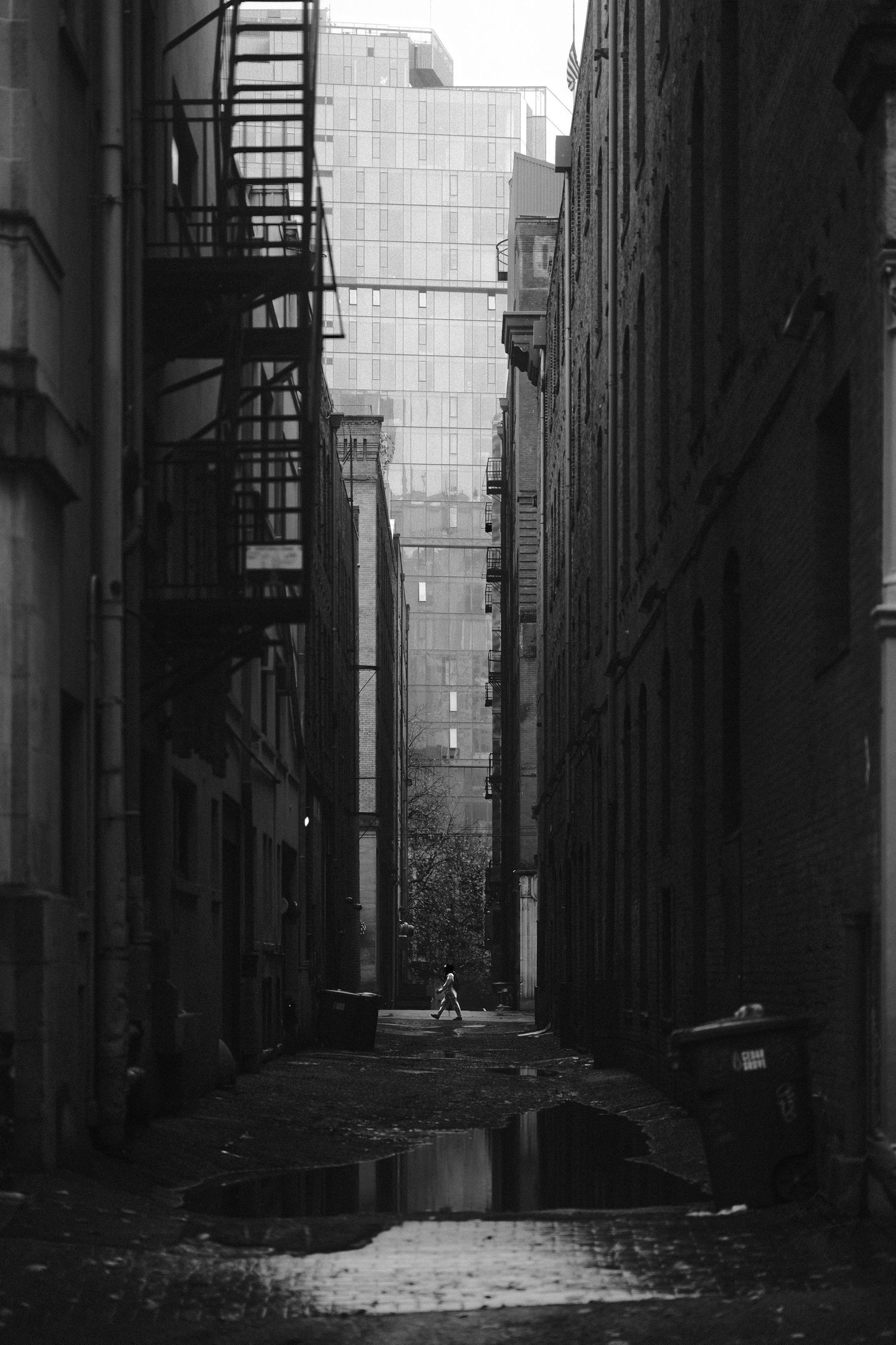 Dramatic black and white urban alley with tall buildings and fire escapes creating strong vertical lines.