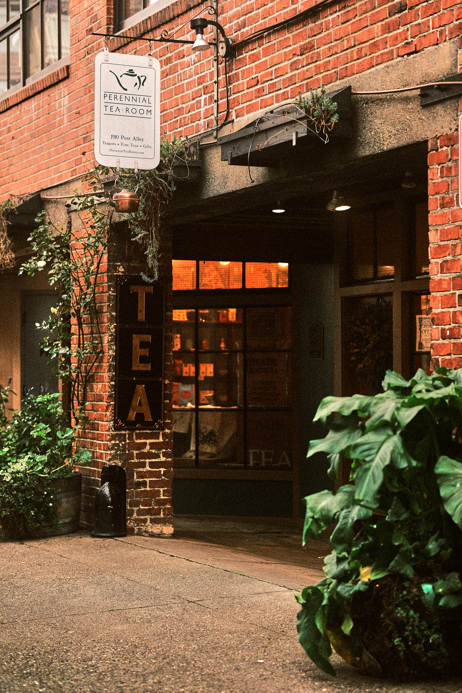 Brick building exterior with green plants and tea shop signage.