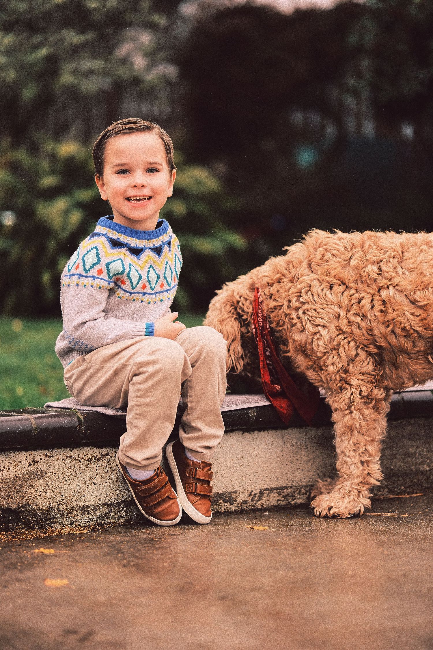 Child in patterned sweater playing with a fluffy goldendoodle dog on a park bench.