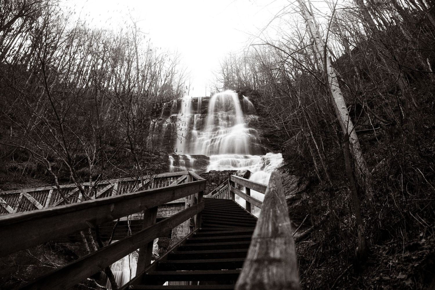 Black and white panorama of a waterfall and wooden walkway through a forest.
