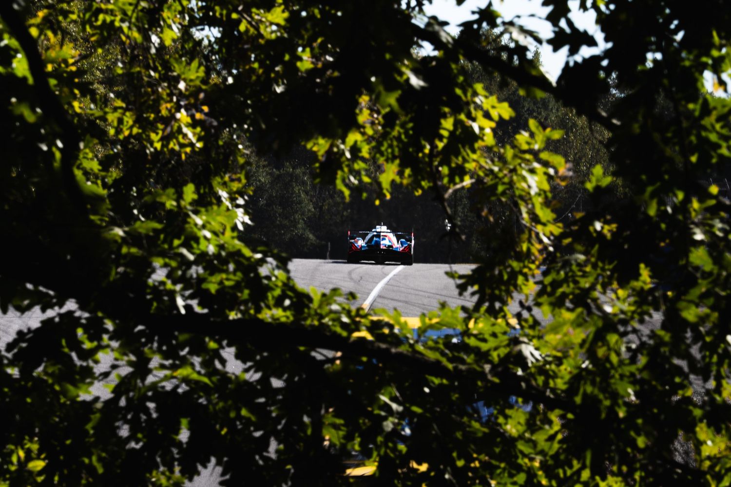 Race cars speed past green foliage during daytime motorsport event.