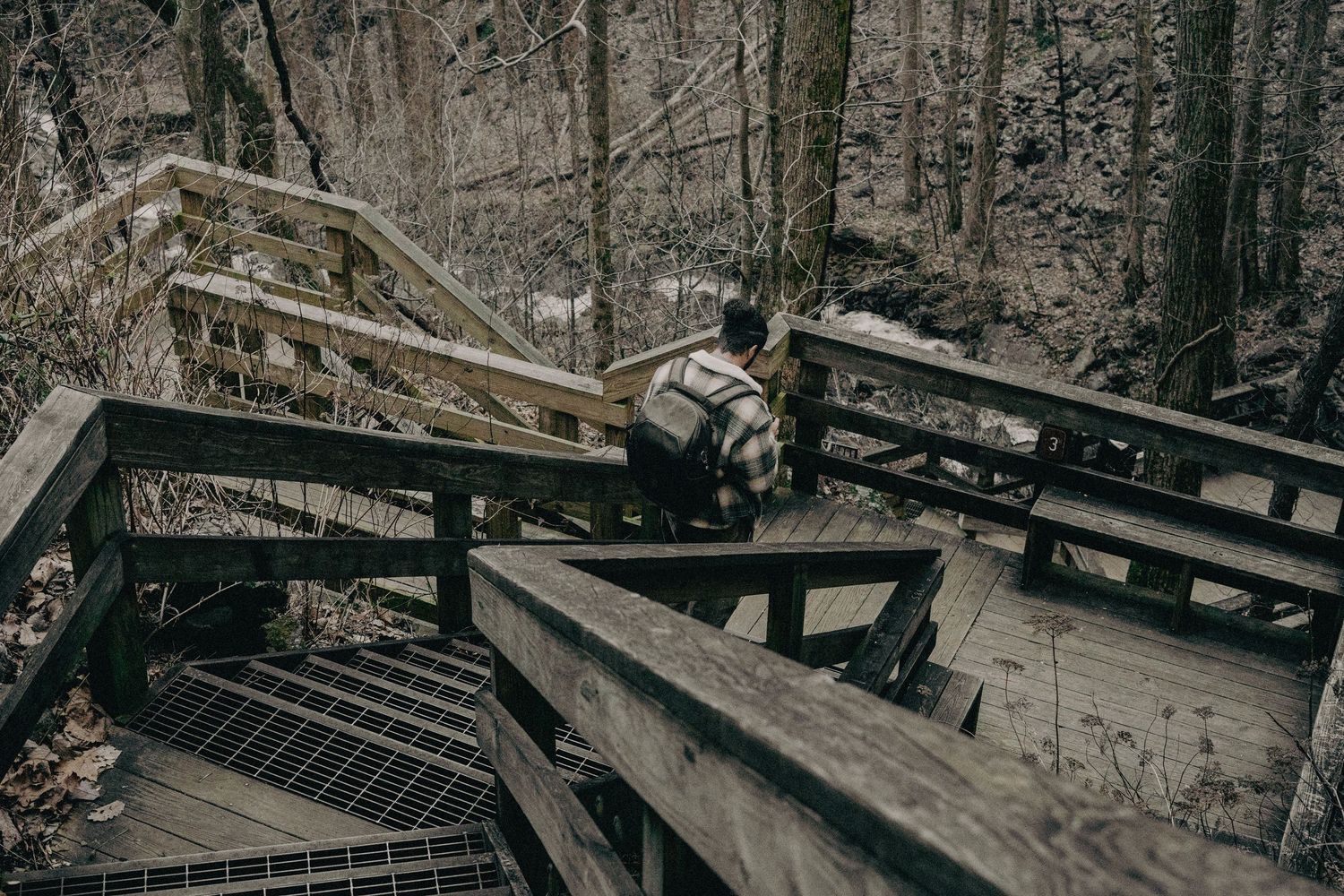 Wooden boardwalk and stairs winding through a forest in black and white.
