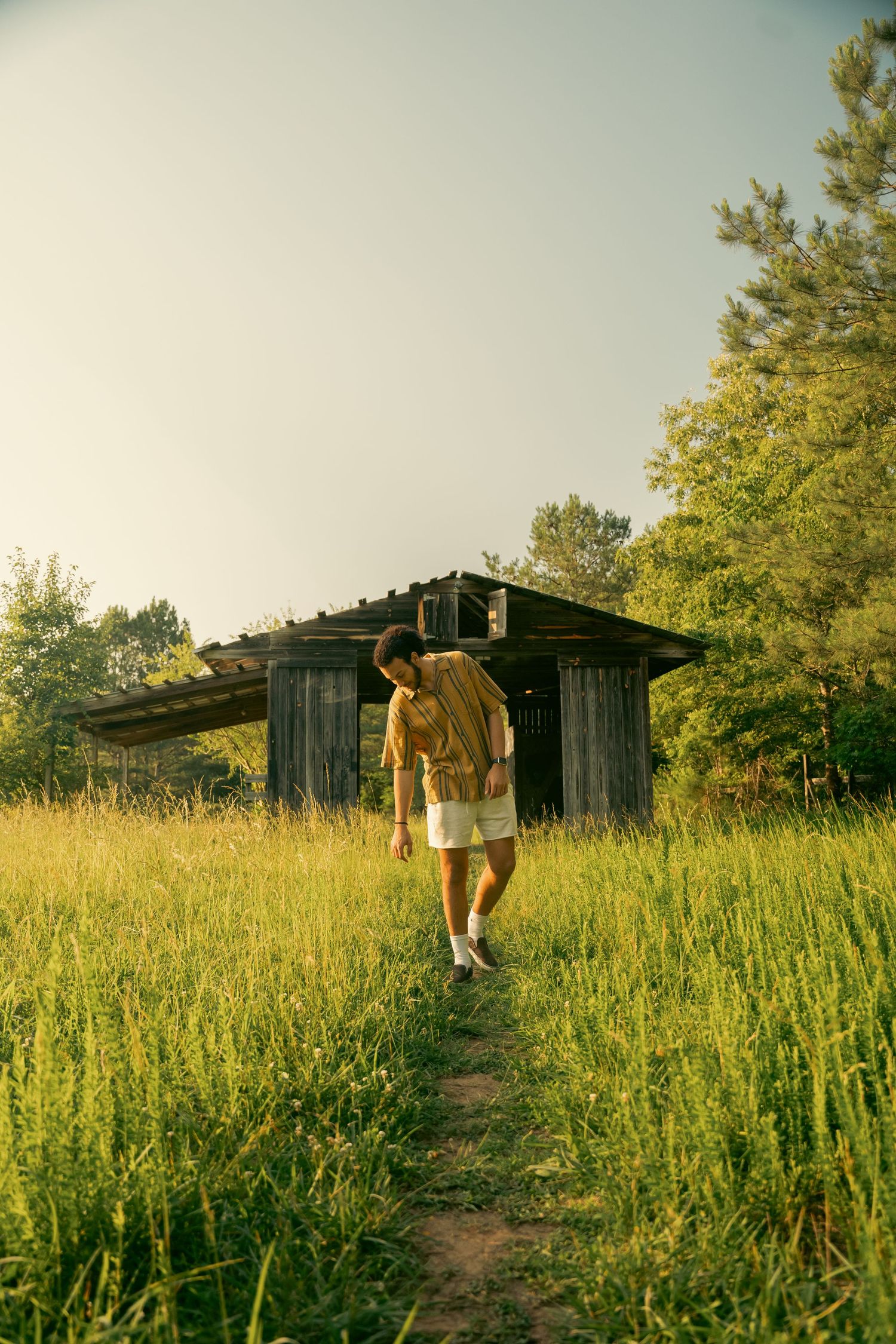 Rustic wooden shed in tall grass field during golden hour.