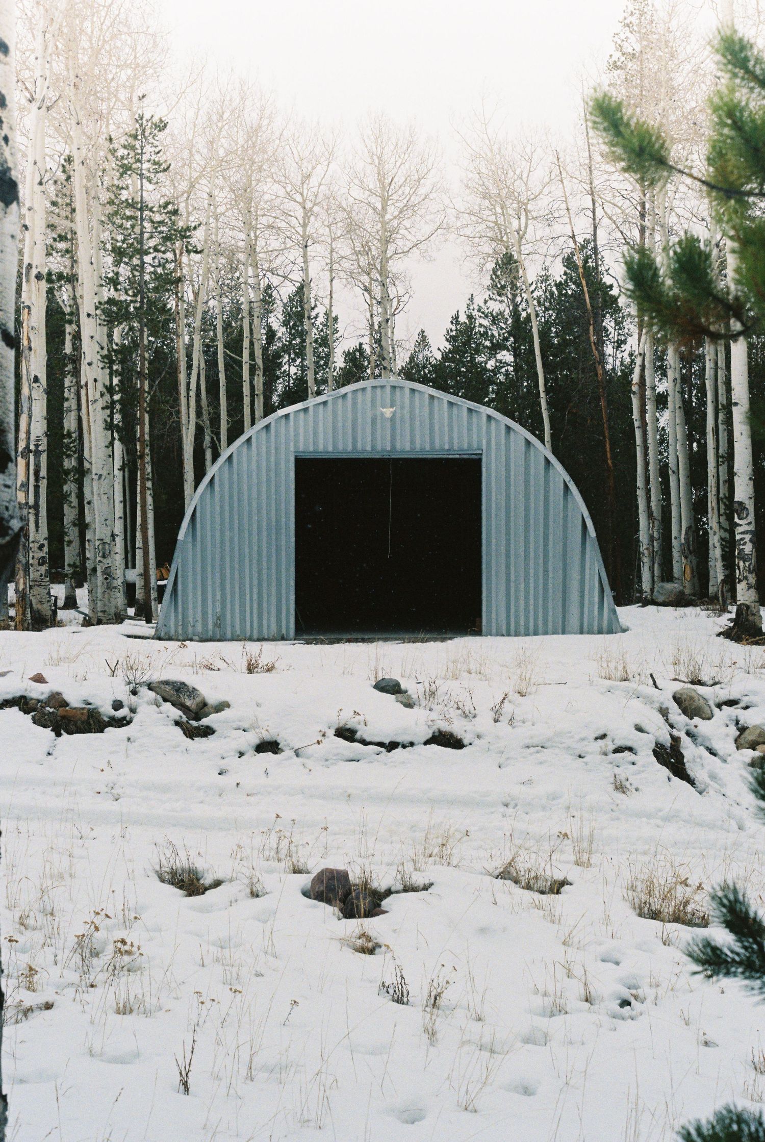 Metal quonset hut structure in a snowy forest clearing surrounded by birch trees.