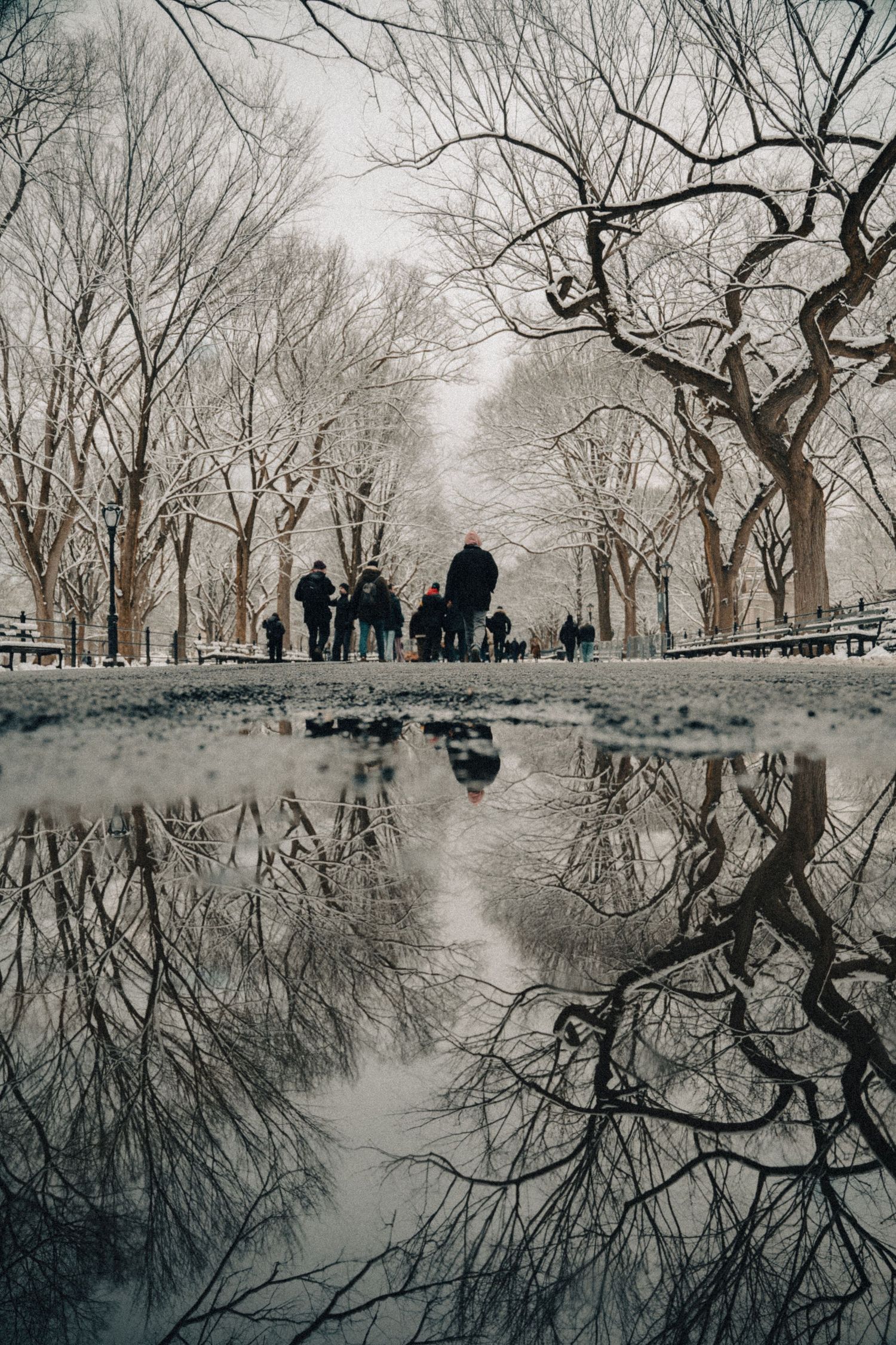 Winter landscape reflecting in still water with bare trees and people walking along the path.
