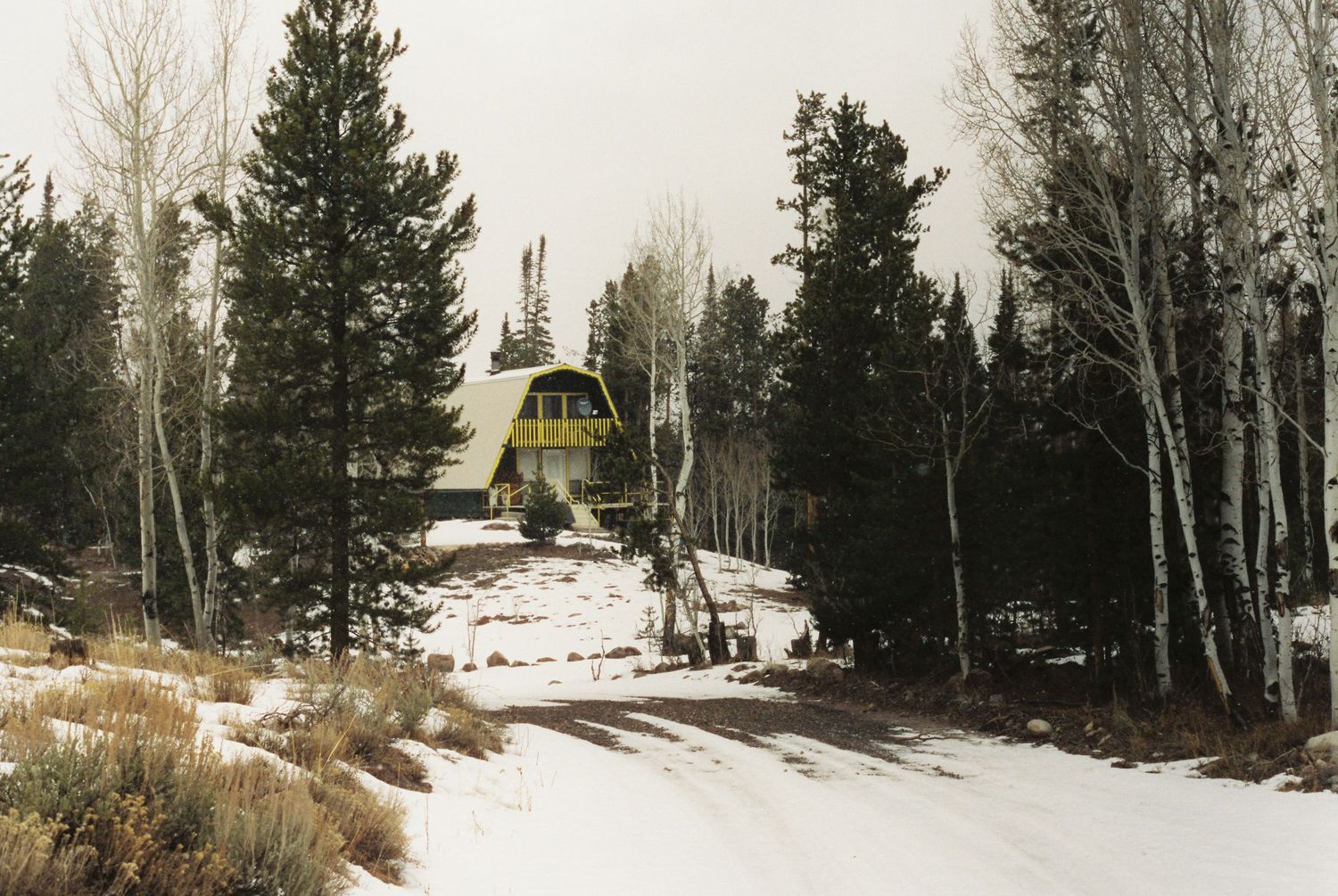Snow-covered mountain landscape with pine trees and birch trees in winter.
