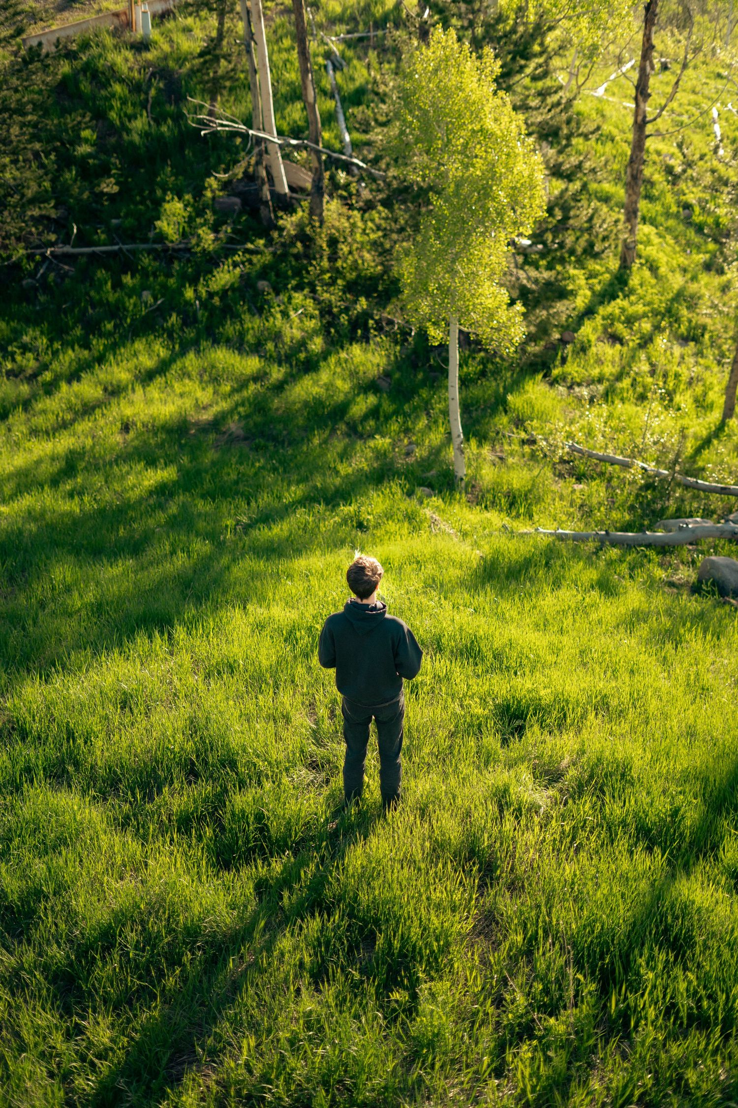 Person walking through sunlit green meadow with mountain shadows.