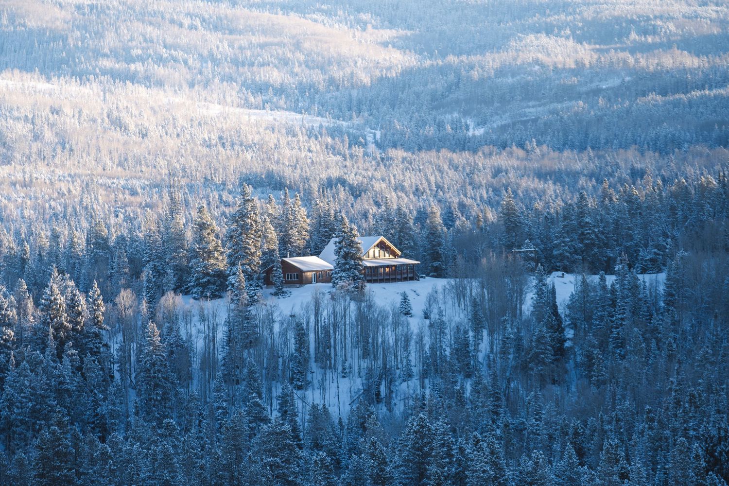Snow-covered winter forest landscape with evergreen trees stretching across mountainous terrain.