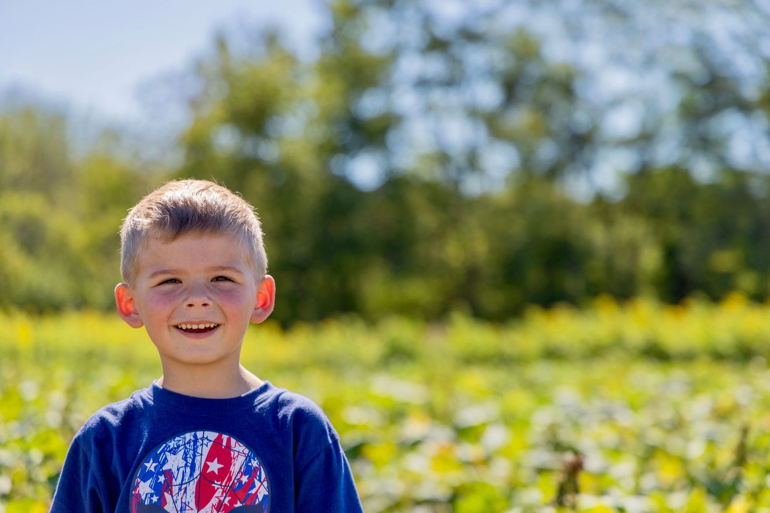 A young child plays joyfully in a sunny field of yellow dandelion flowers on a bright spring day.