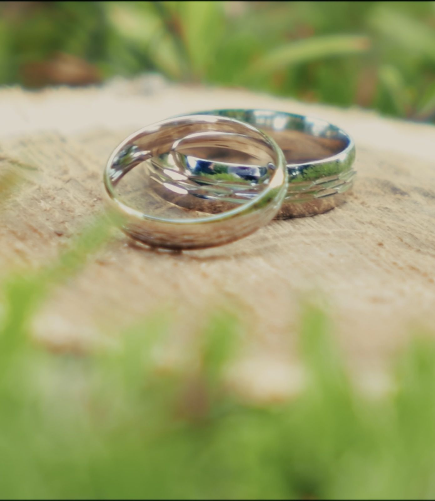 Two silver wedding rings resting on a textured beige surface with soft green foliage in the background.