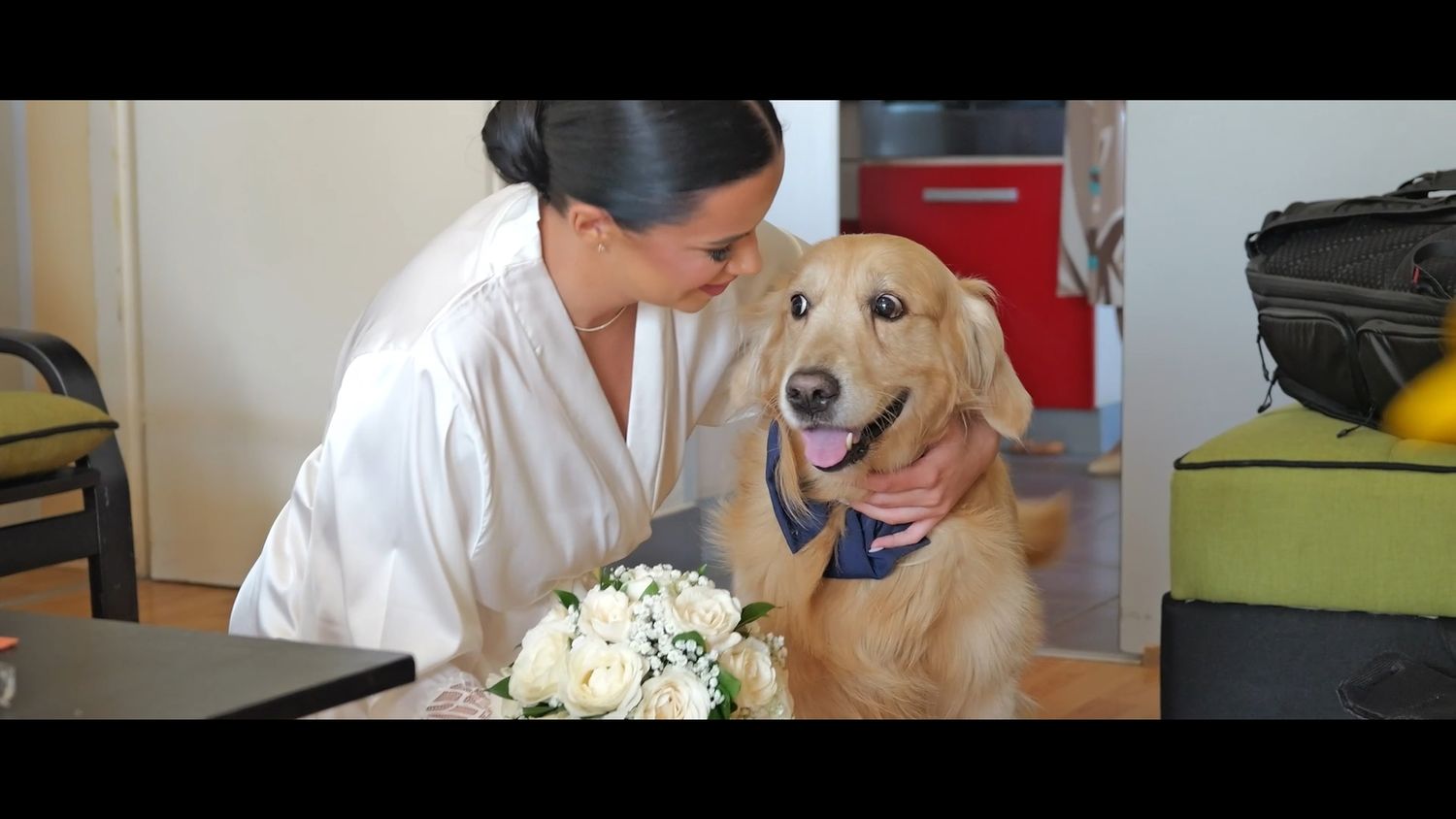 A happy golden retriever wearing a blue collar sits next to a white bouquet of flowers in an indoor setting.