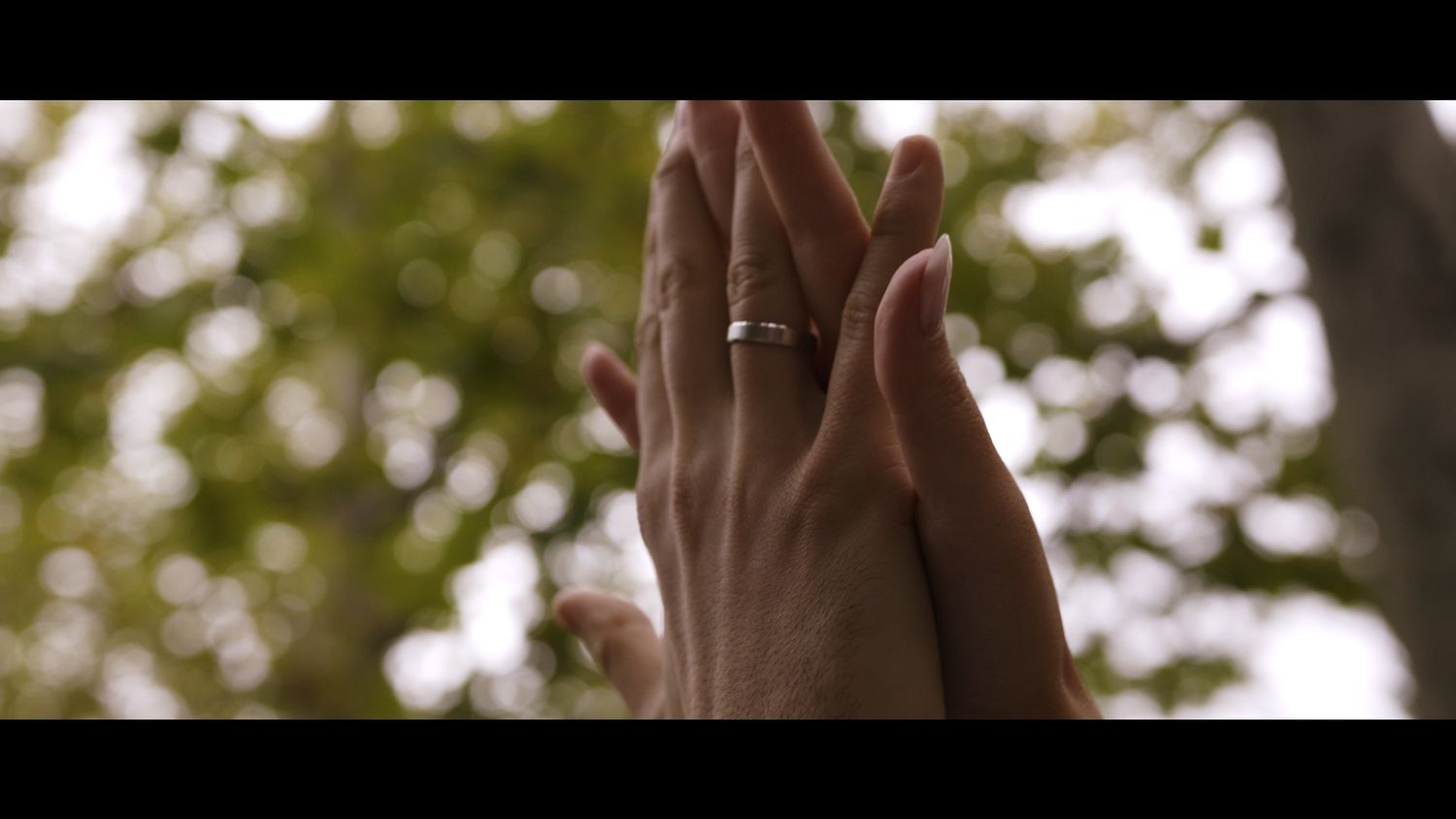 Close up of hands showing wedding rings against blurred foliage background.