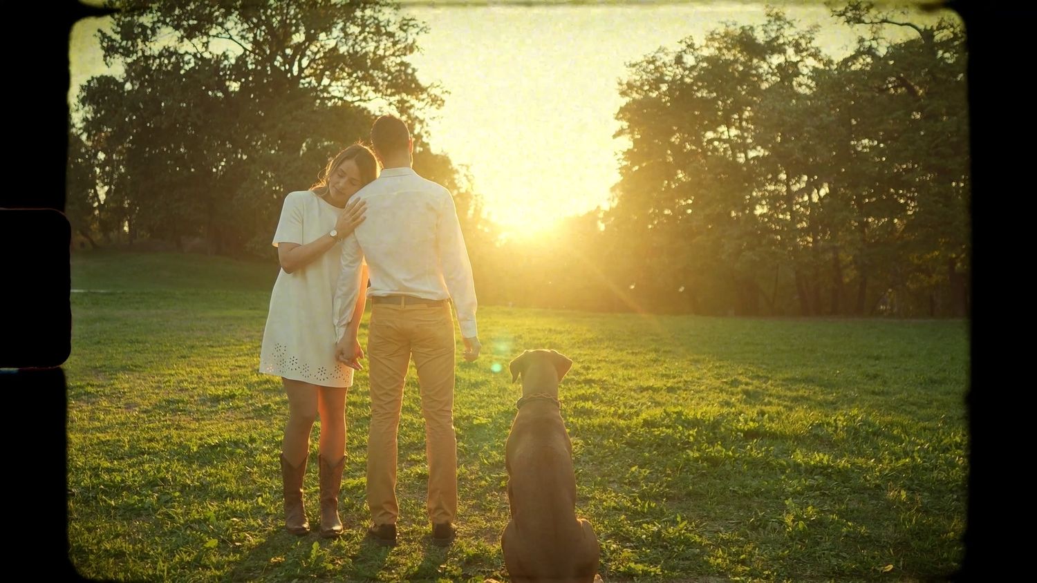 Family silhouettes walking with their dog during golden hour in a green field.