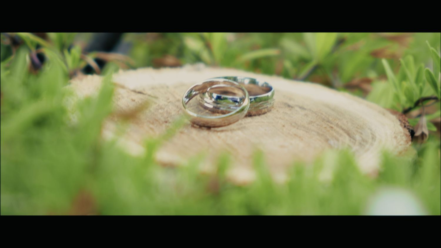 Wedding rings on stone surface surrounded by green foliage.