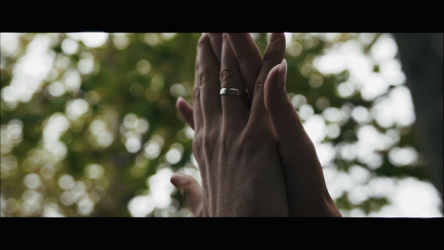 Sunlight filters through trees creating a romantic outdoor wedding atmosphere.
