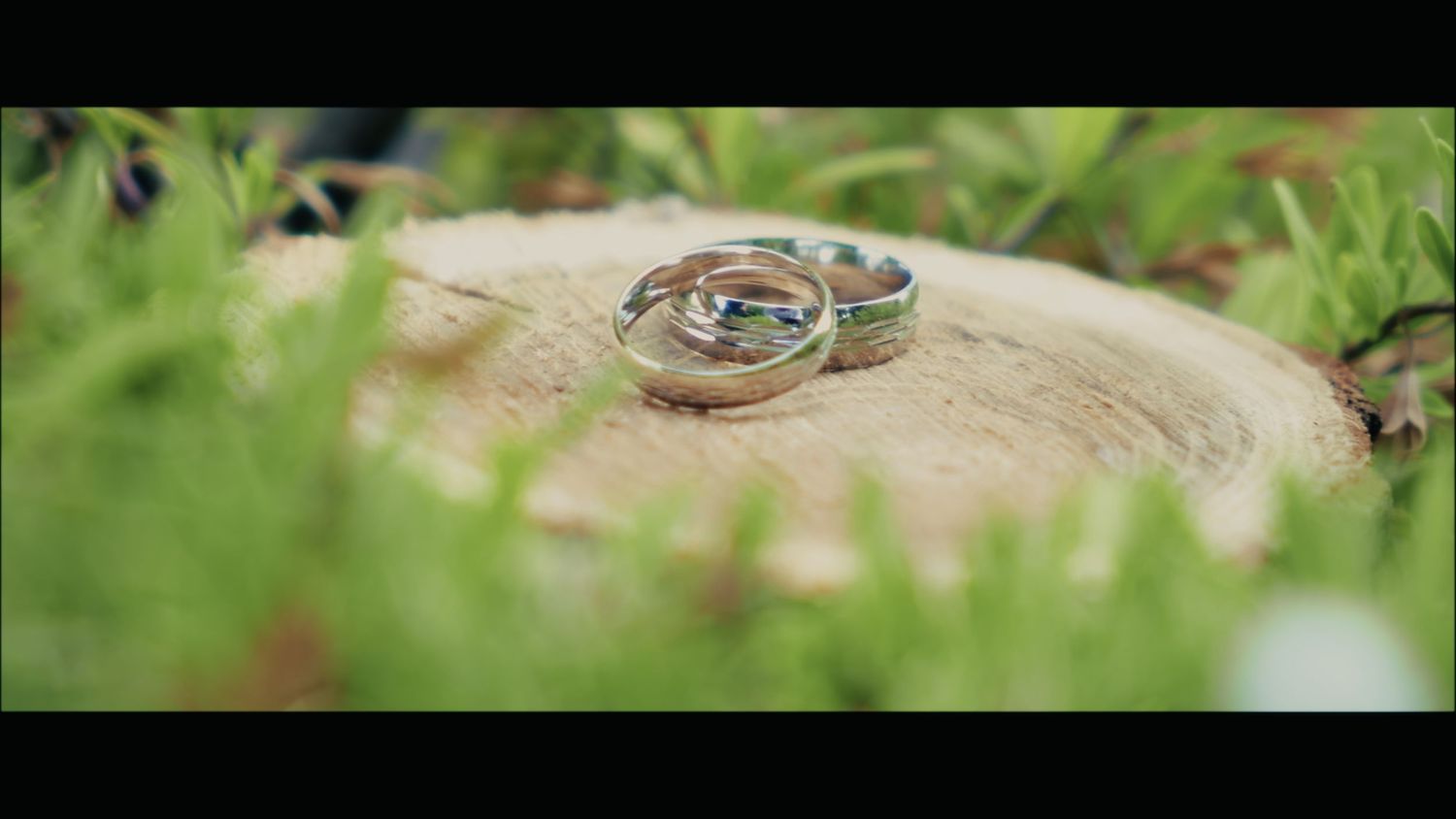 Wedding rings rest on a stone surrounded by green ferns in a nature-inspired wedding detail shot.