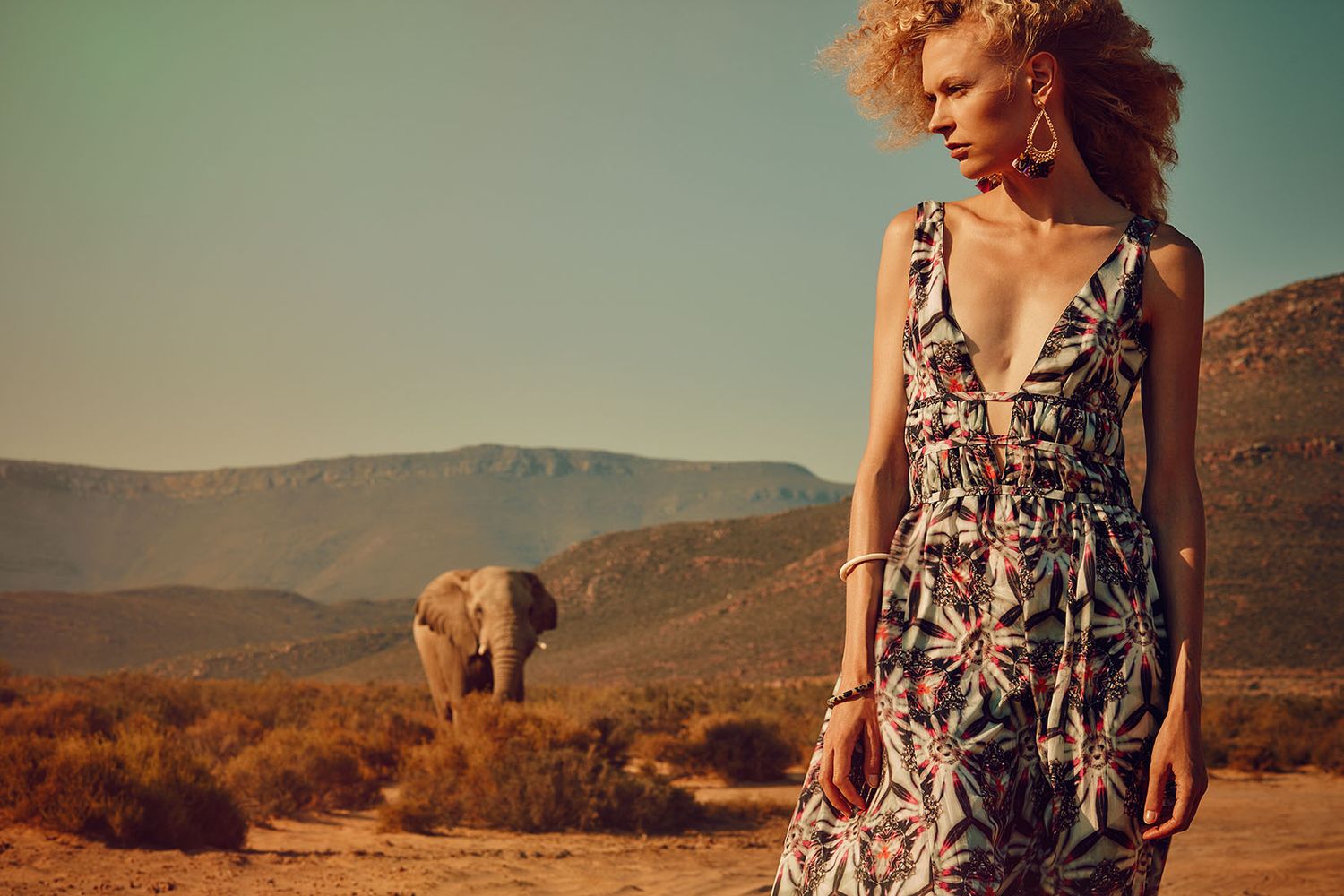 Desert landscape with floral dress details and mountains in background.