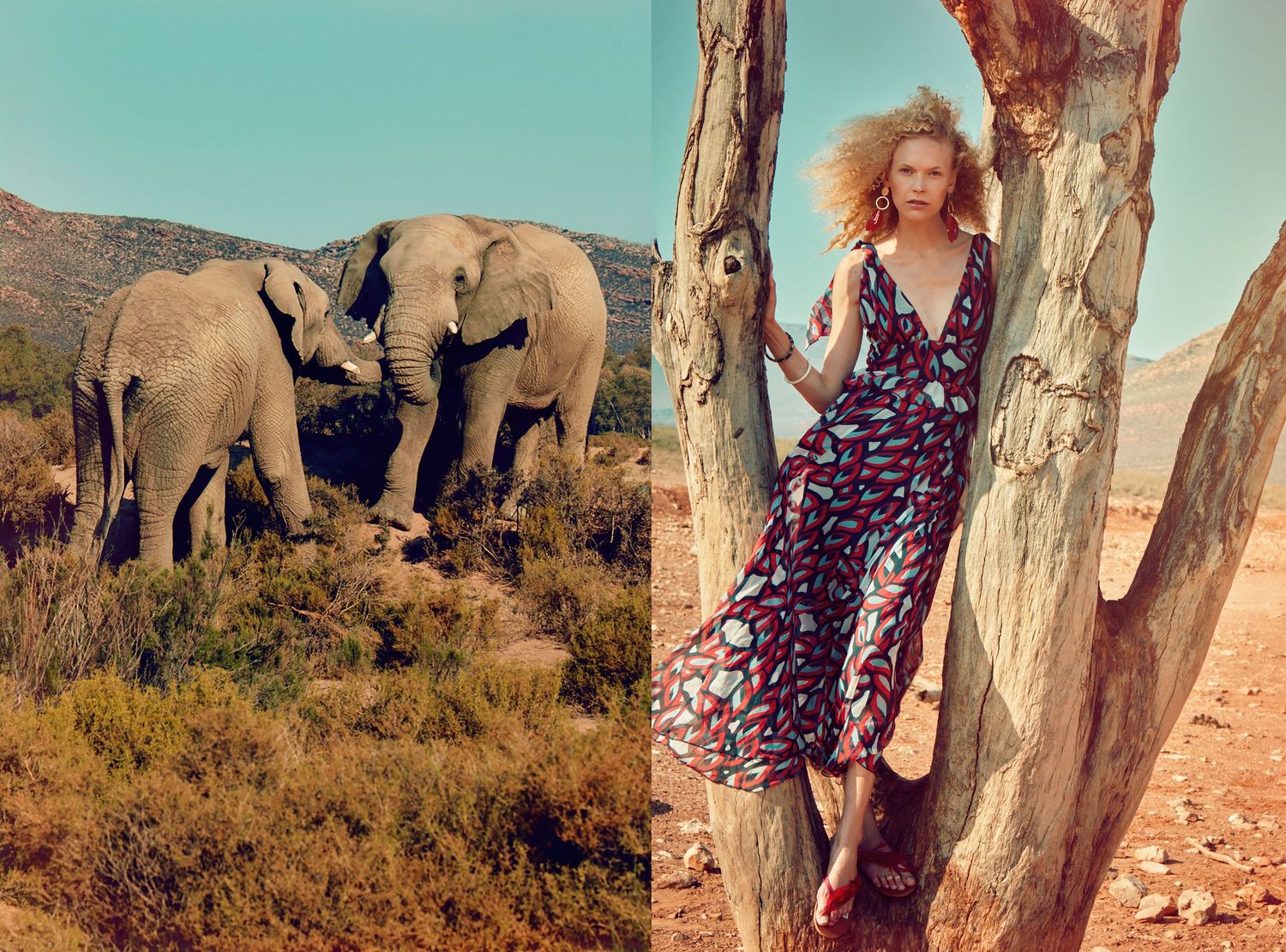 Desert landscape fashion editorial with wildlife and flowing dresses against dramatic scenery.