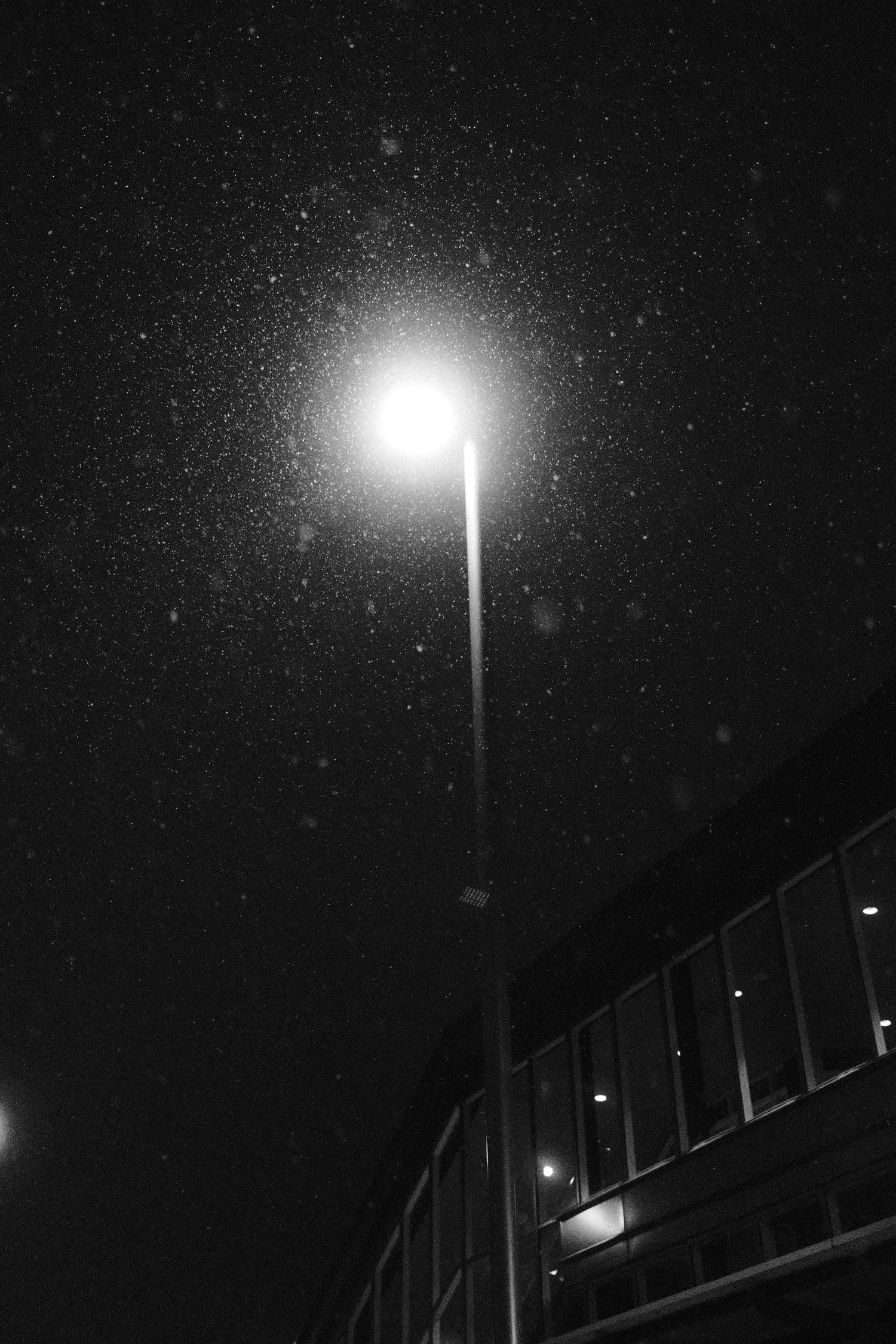 Snow falling around a streetlight at night with a building partially visible in the background.