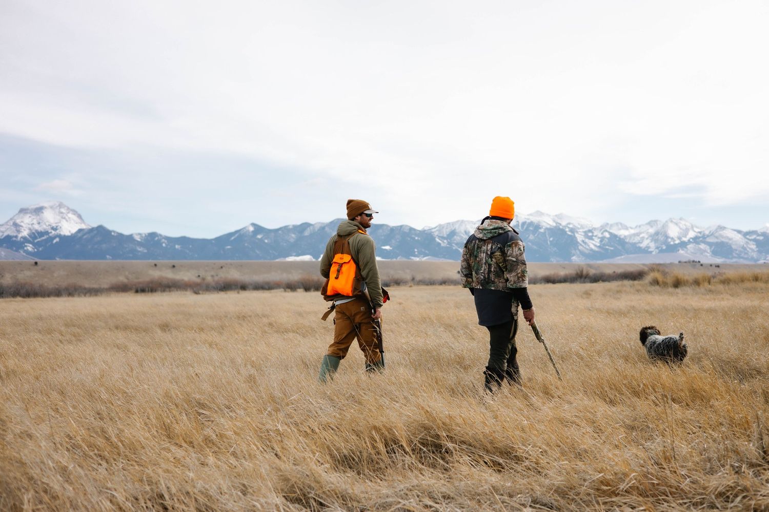 Two men going bird hunting in Montana
