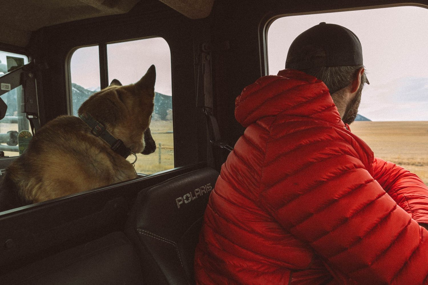 Polaris ride in Ennis, Montana with a dog