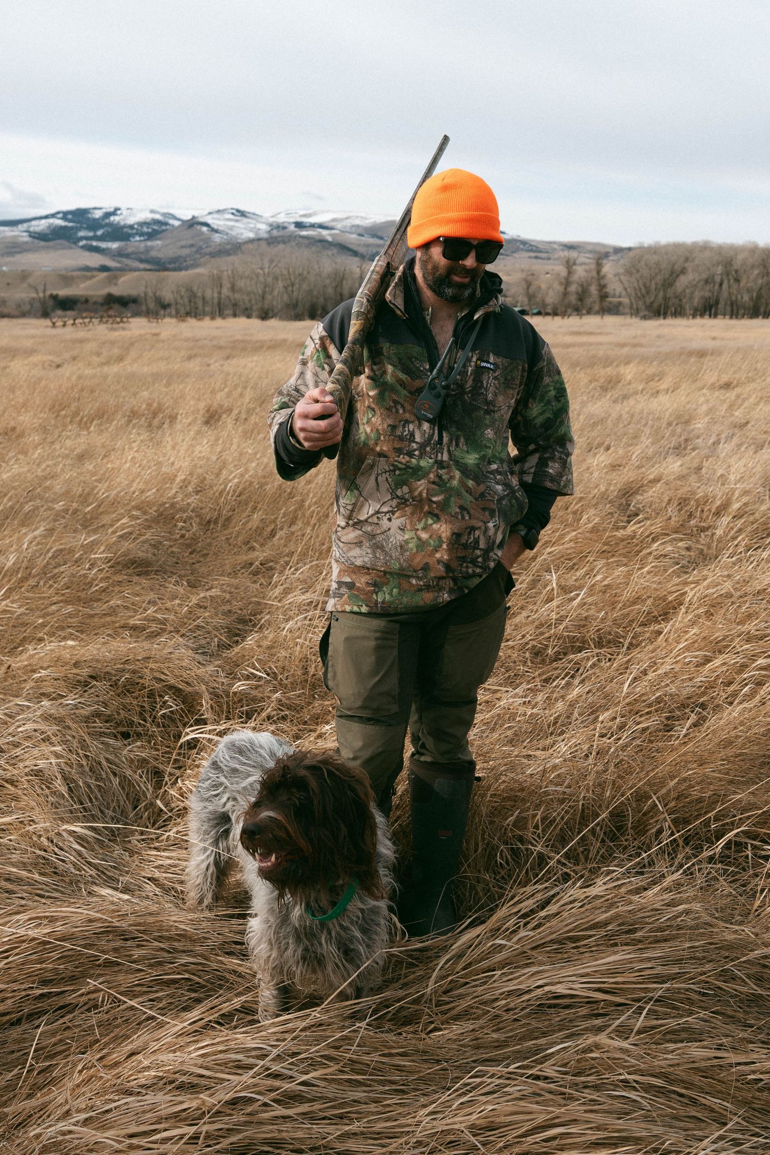 Bird hunting in Montana with a bird dog