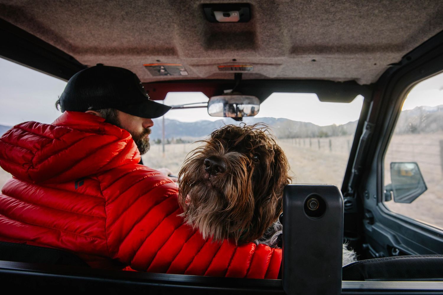Polaris ride in Ennis, Montana with a dog