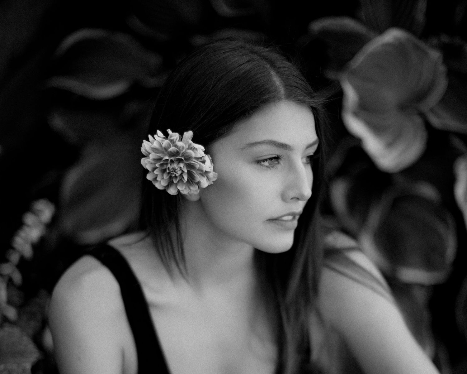 Black and white portrait with a delicate white flower hair accessory against a dark background.