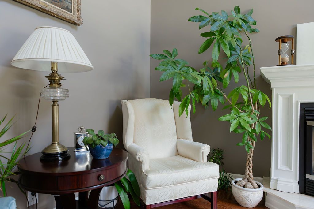 Cozy living room corner with white wingback chair, brass table lamp, indoor plants, and white fireplace mantel.