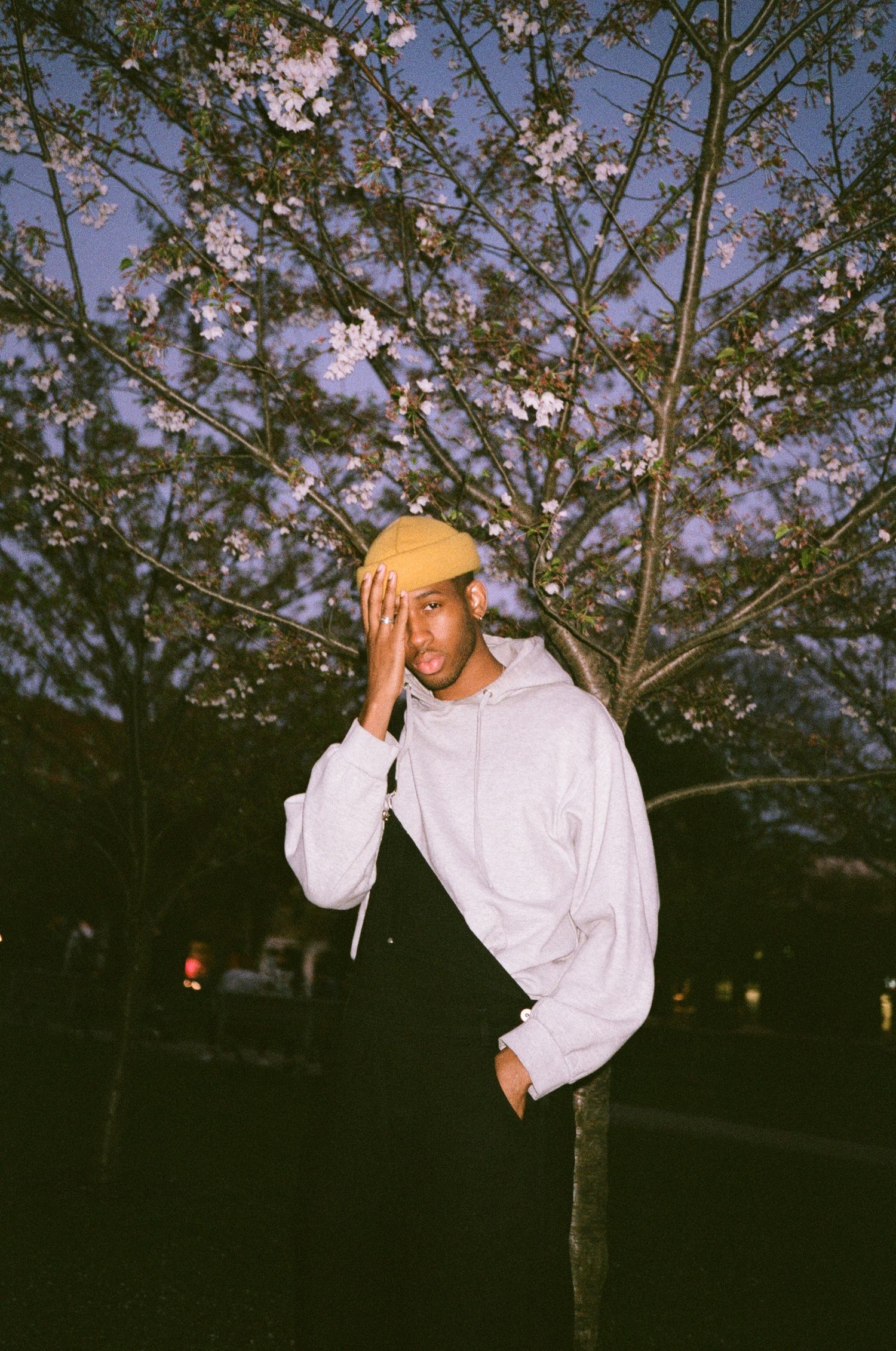 Figure in white hoodie standing under blooming cherry blossom trees at dusk.