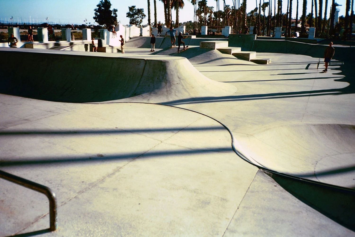 Wide concrete skate park with palm trees in the background.