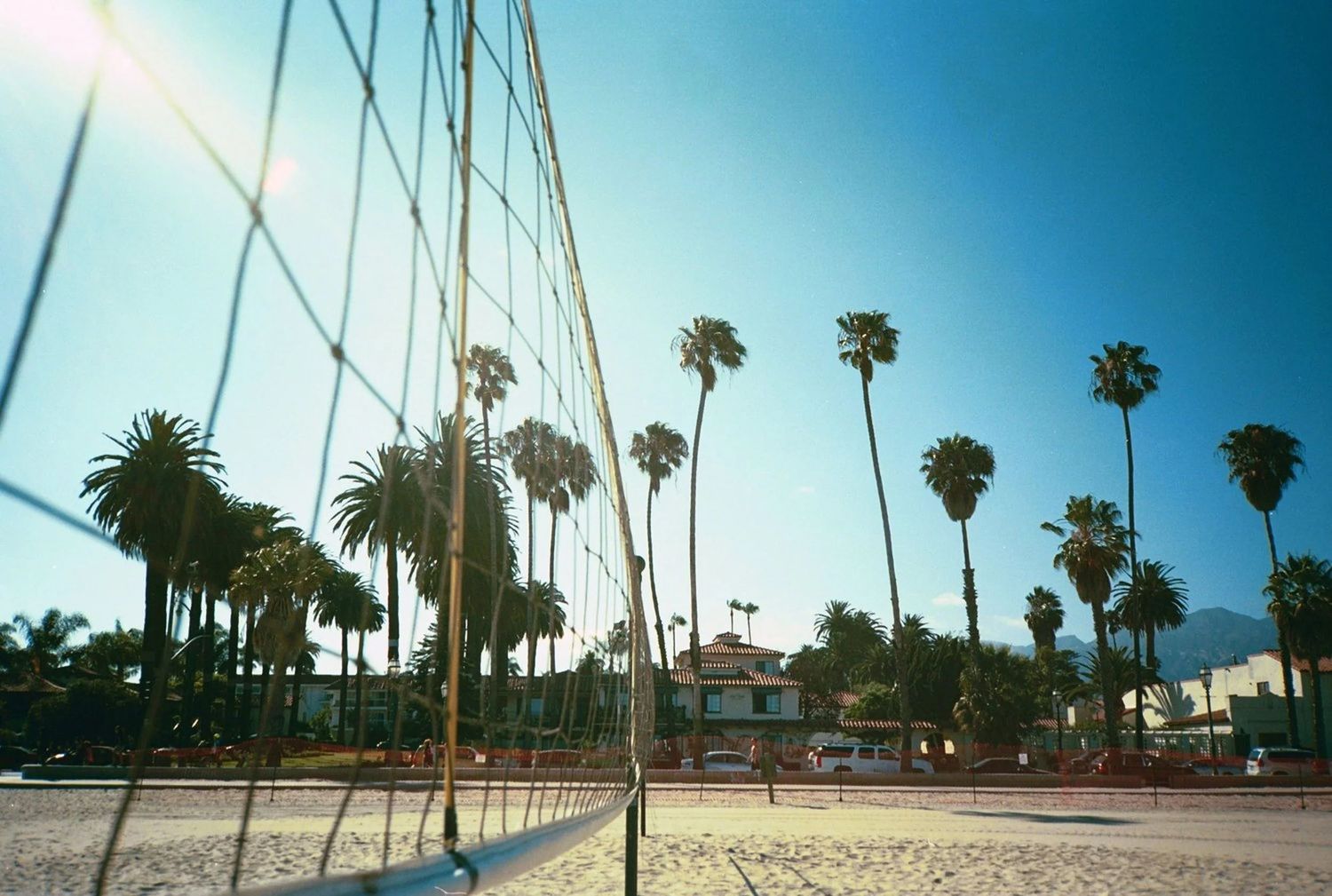 Palm trees line a sunny beachfront path under blue skies.