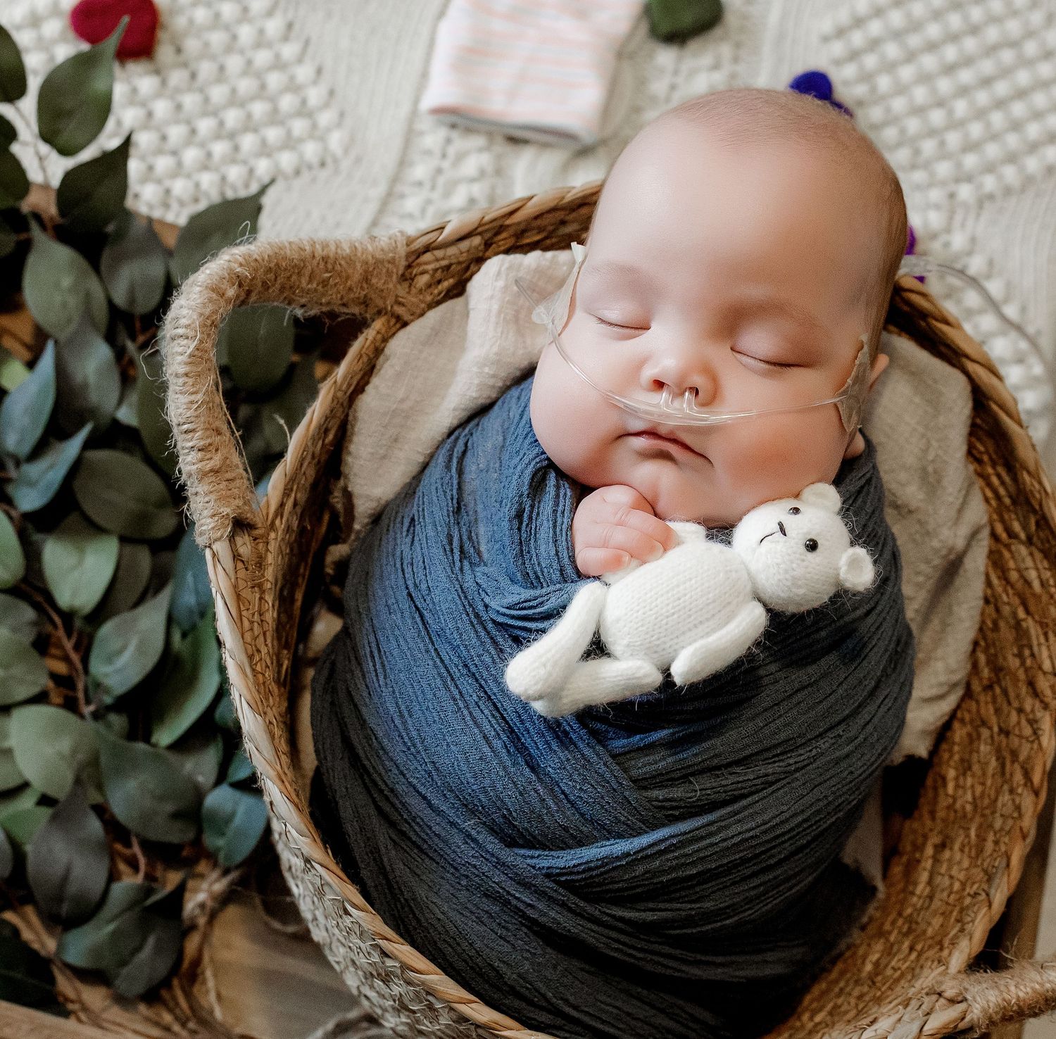 Newborn baby wrapped in blue swaddle sleeping in basket with nasal cannula holding tiny knit teddy bear.