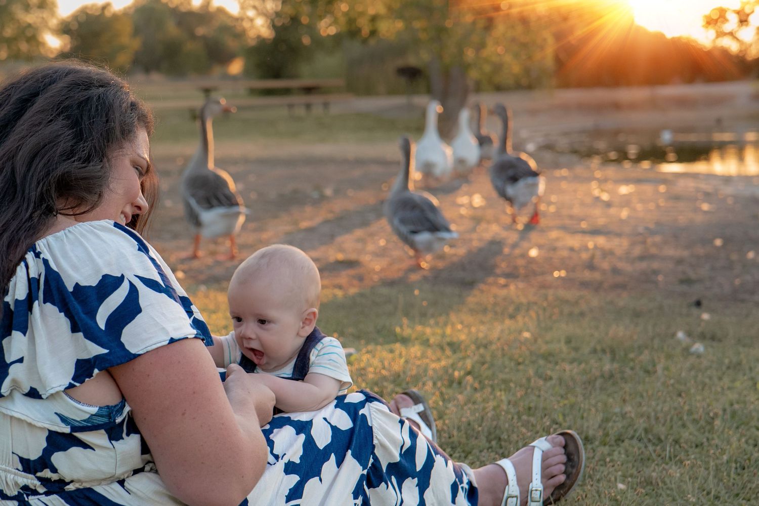 Family enjoying sunset at a park with seagulls in the background.