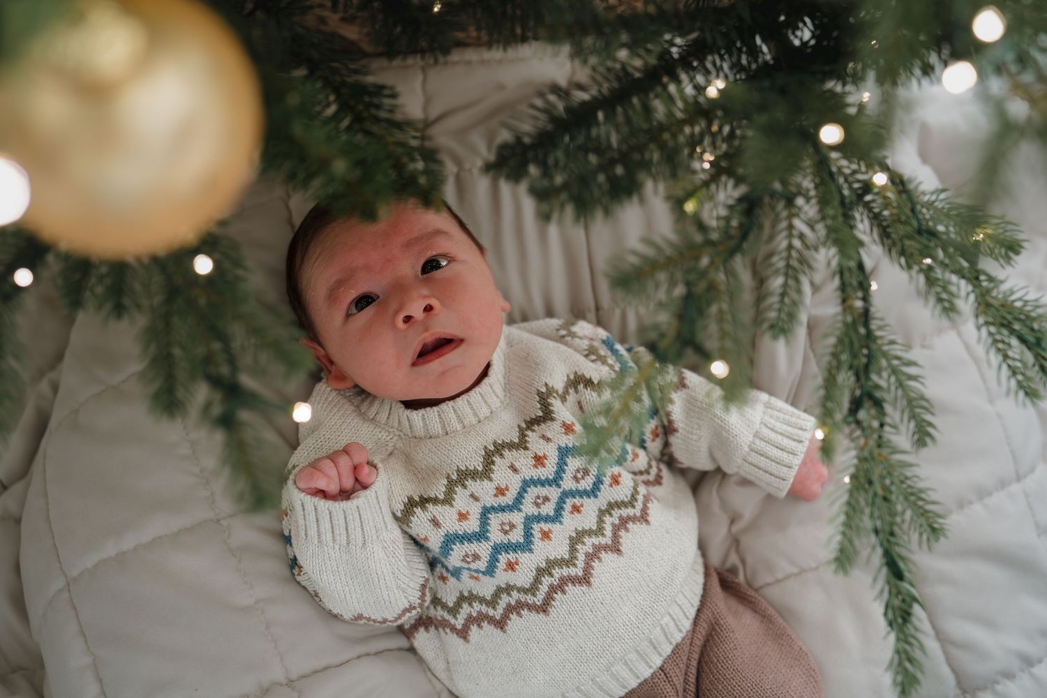 A festive holiday scene with evergreen branches and twinkling lights creating a cozy winter atmosphere.