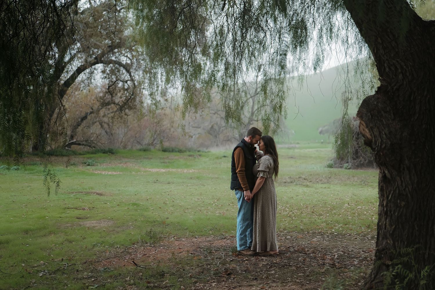 Romantic misty scene under willow trees in a dreamy outdoor setting in Roseville, CA