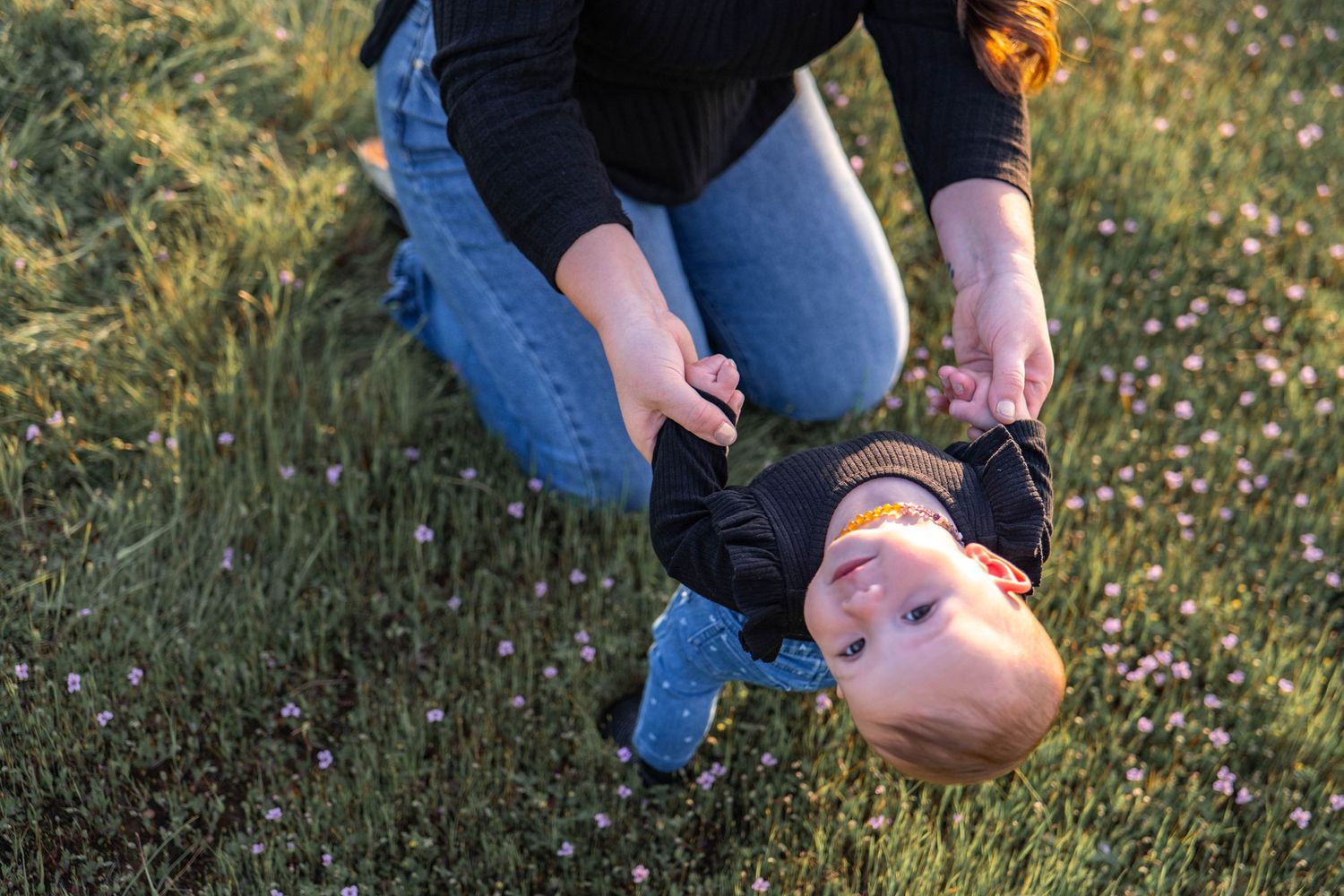 Close-up shots of hands picking small flowers in a sunlit meadow.