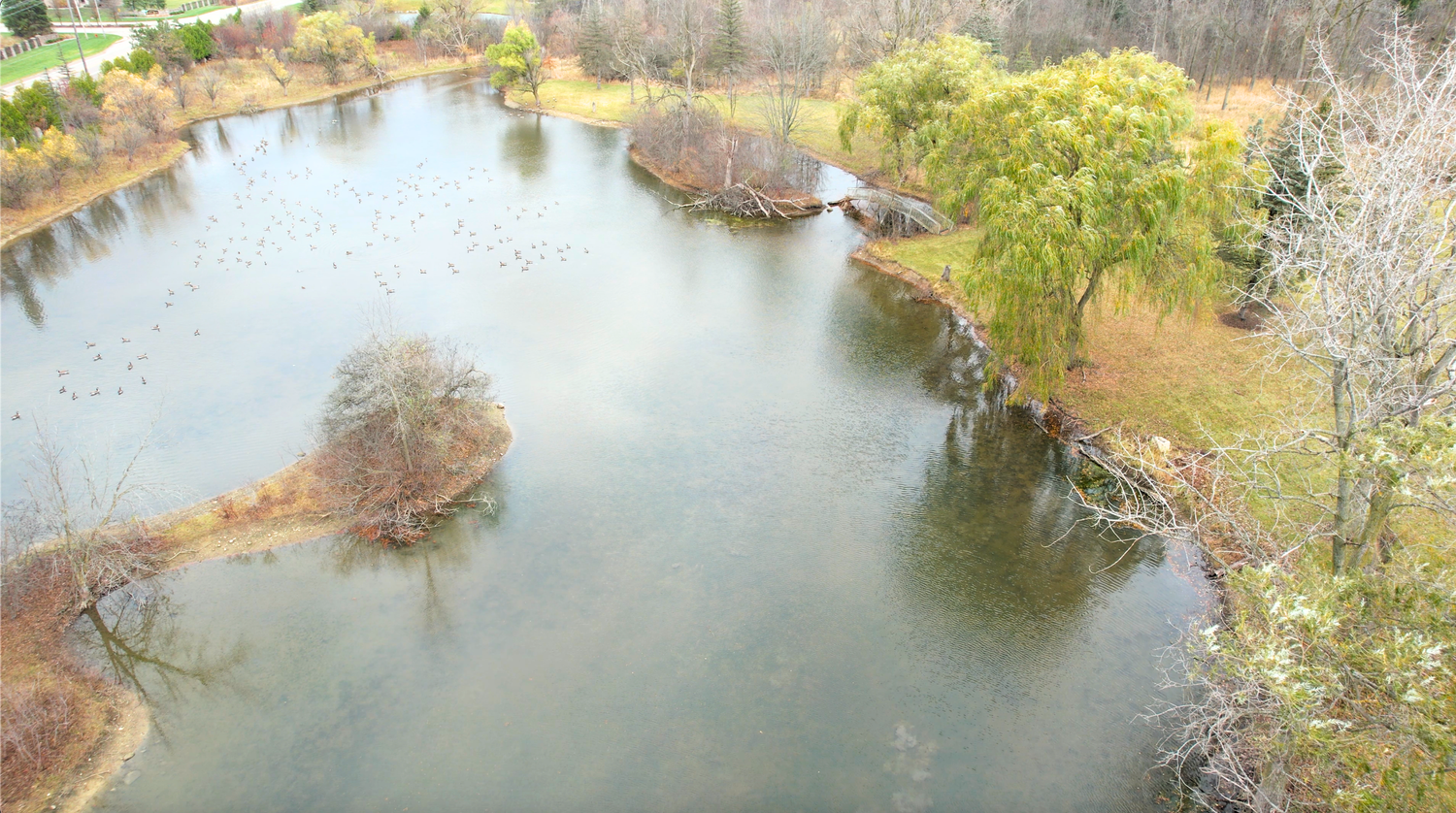 Pond Overhead