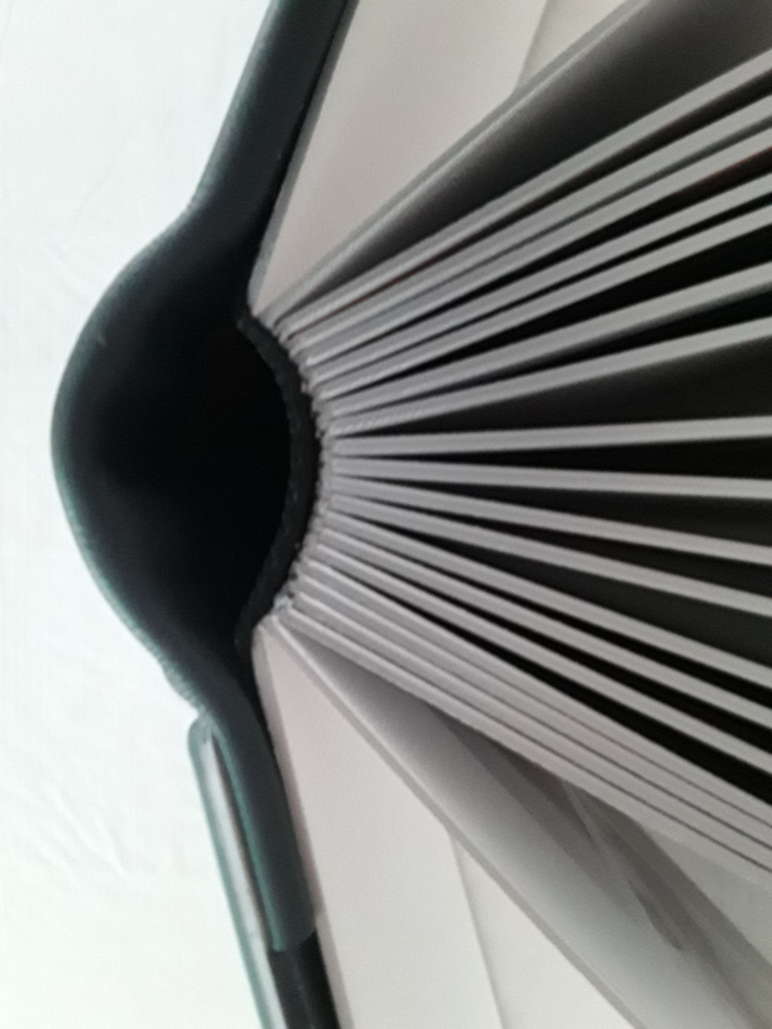 Close-up view of an open book spine showing fanned out pages in black and white against a white background.