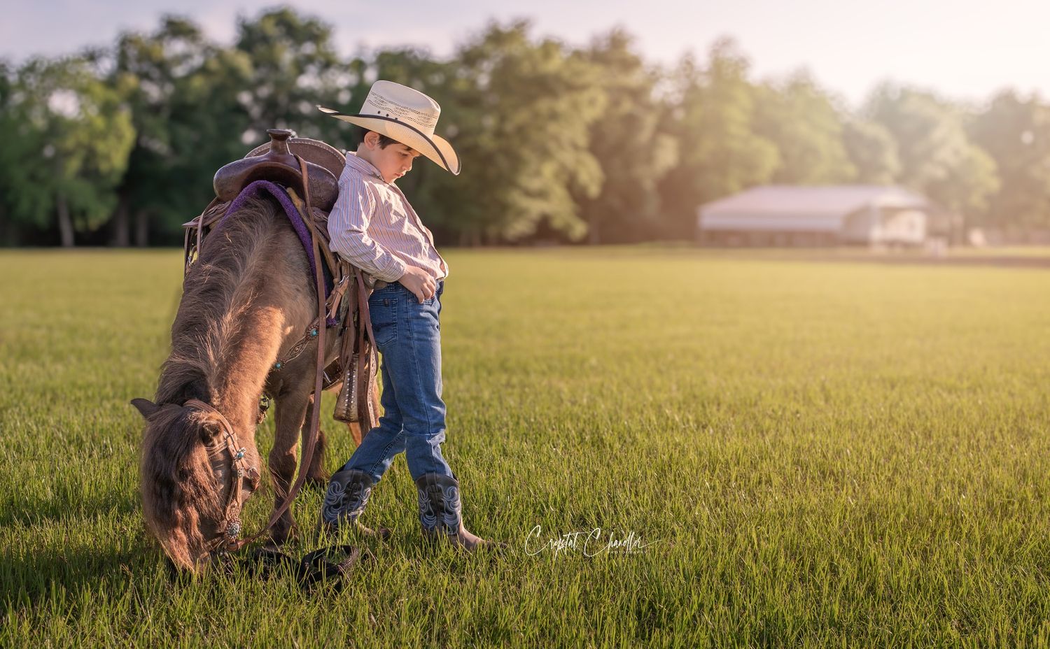 Photograhy, photographer, Mobile, AL Country scene with small child and grazing horse in sunlit meadow.