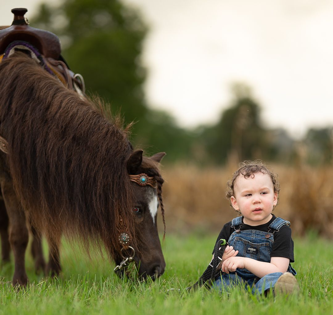Small child sits in green grass next to a brown miniature horse grazing in a pastoral outdoor setting.